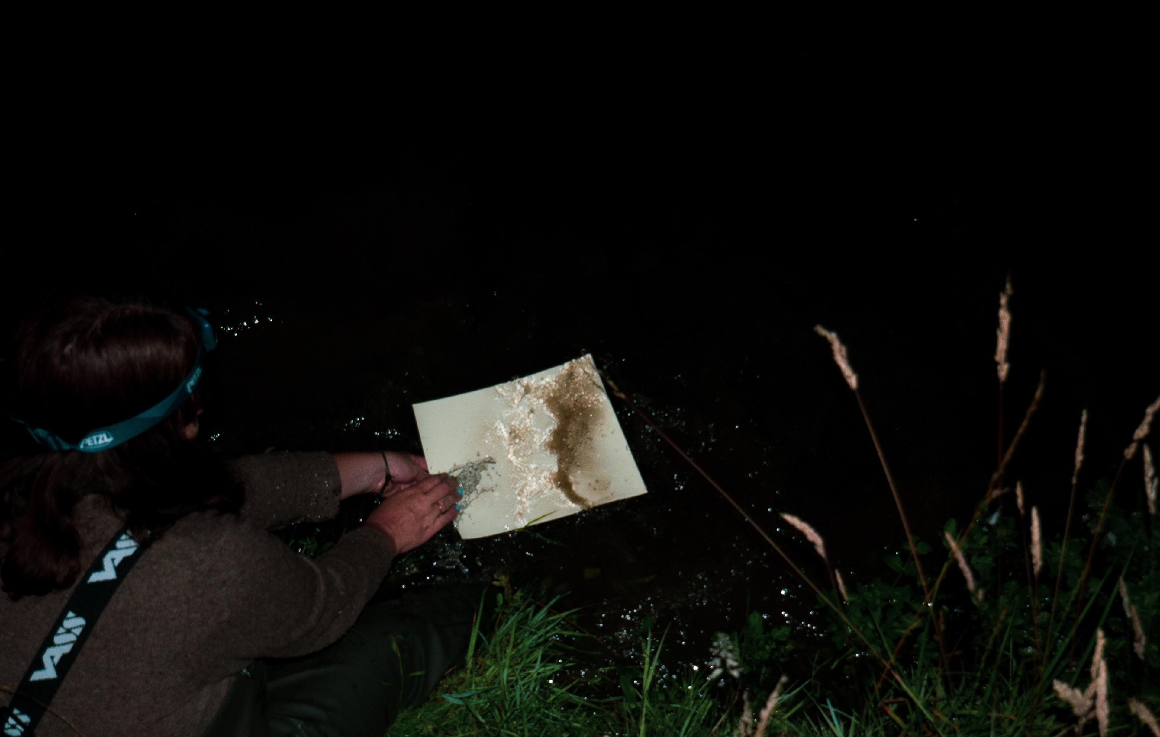 Dark photograph of a person crouching on the banks of a river at night, placing paper into it 