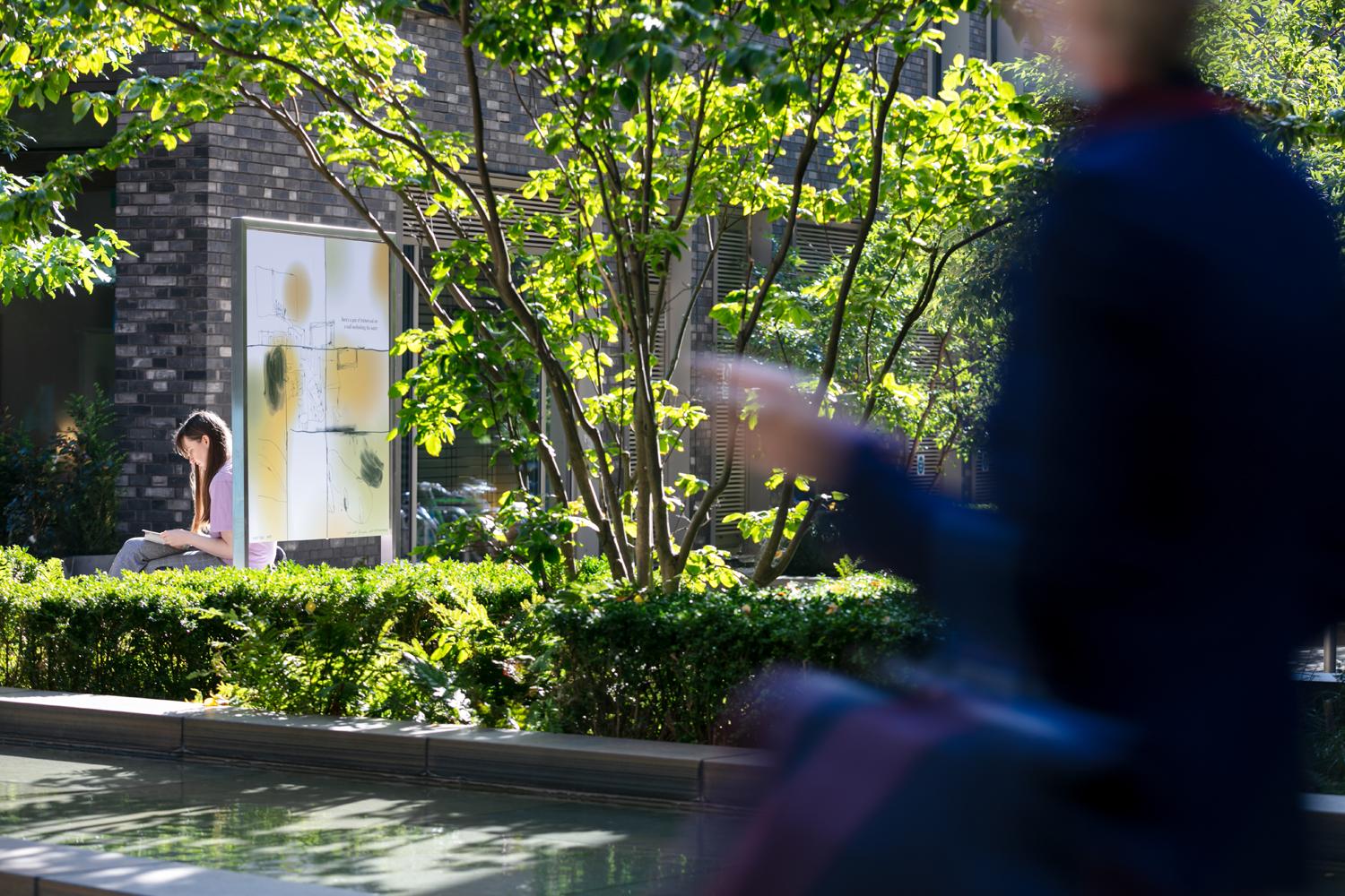 Peony's comic on display in public amidst lush greenery 