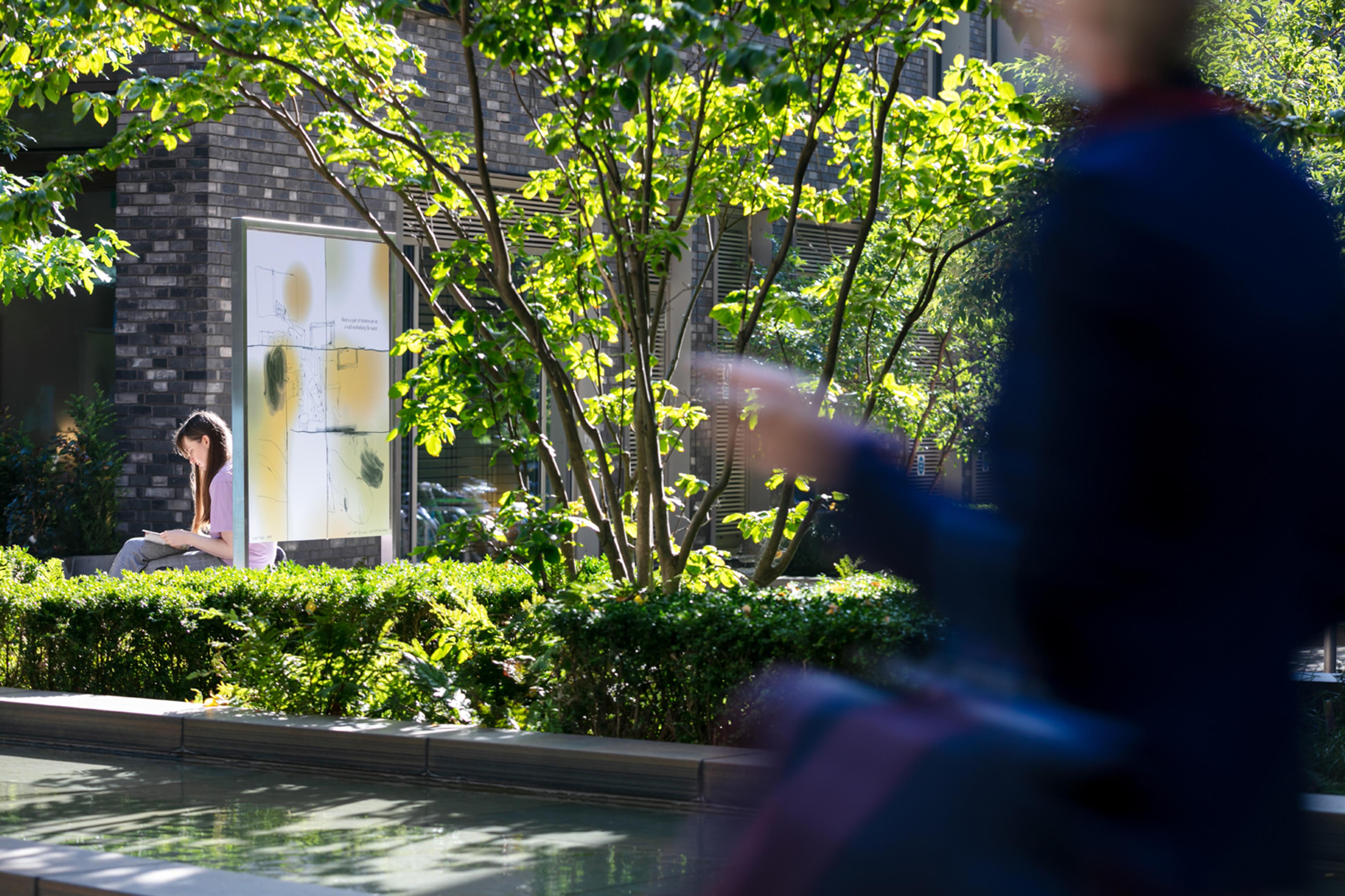 Peony's comic on display in public amidst lush greenery