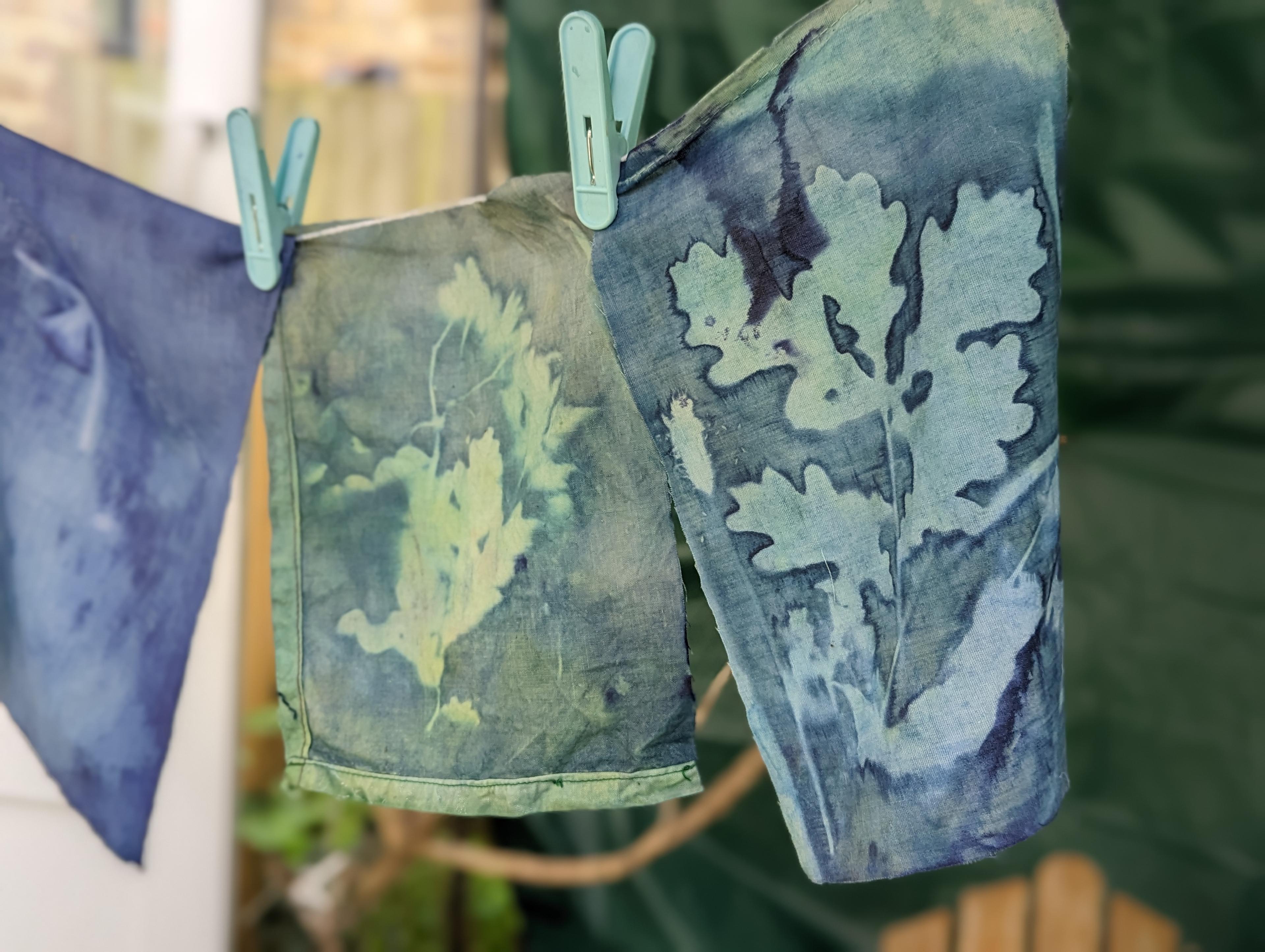 Cyanotype prints with leaf outlines hanging in the sun.