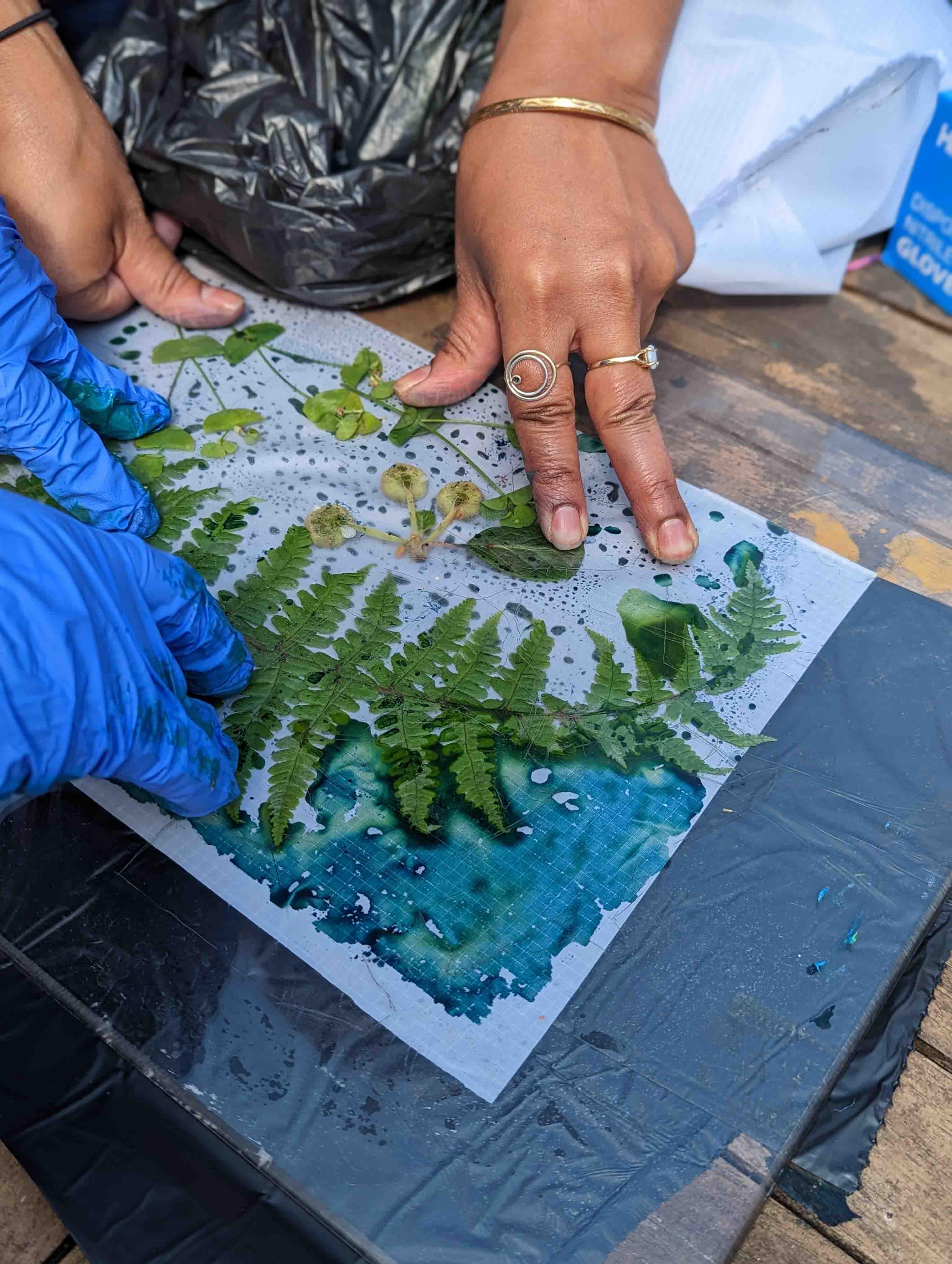 Two pairs of hands applying fearn leaves on a sheet of paper with a blue pigment.