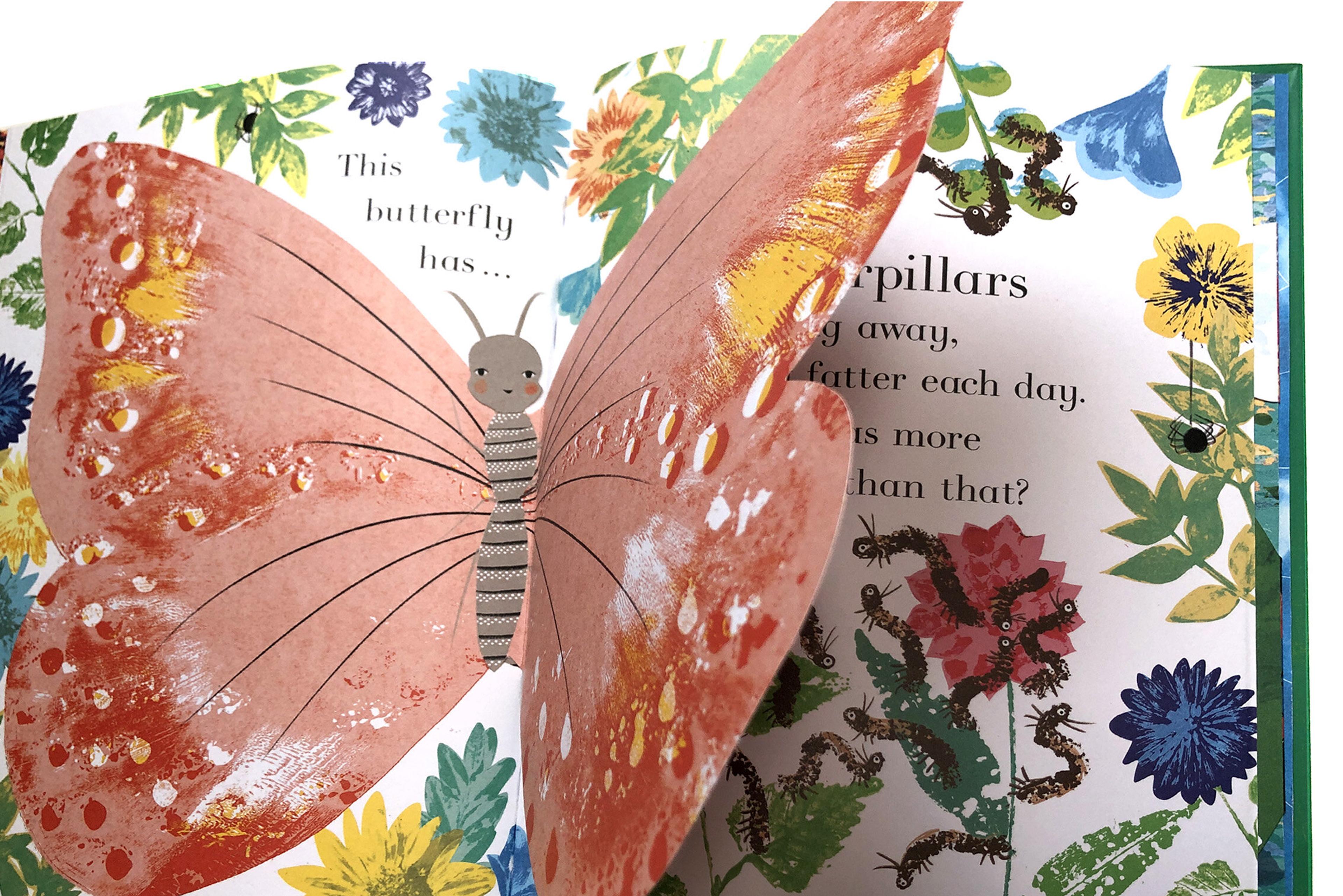 Photograph of a pop-up butterfly from picture book