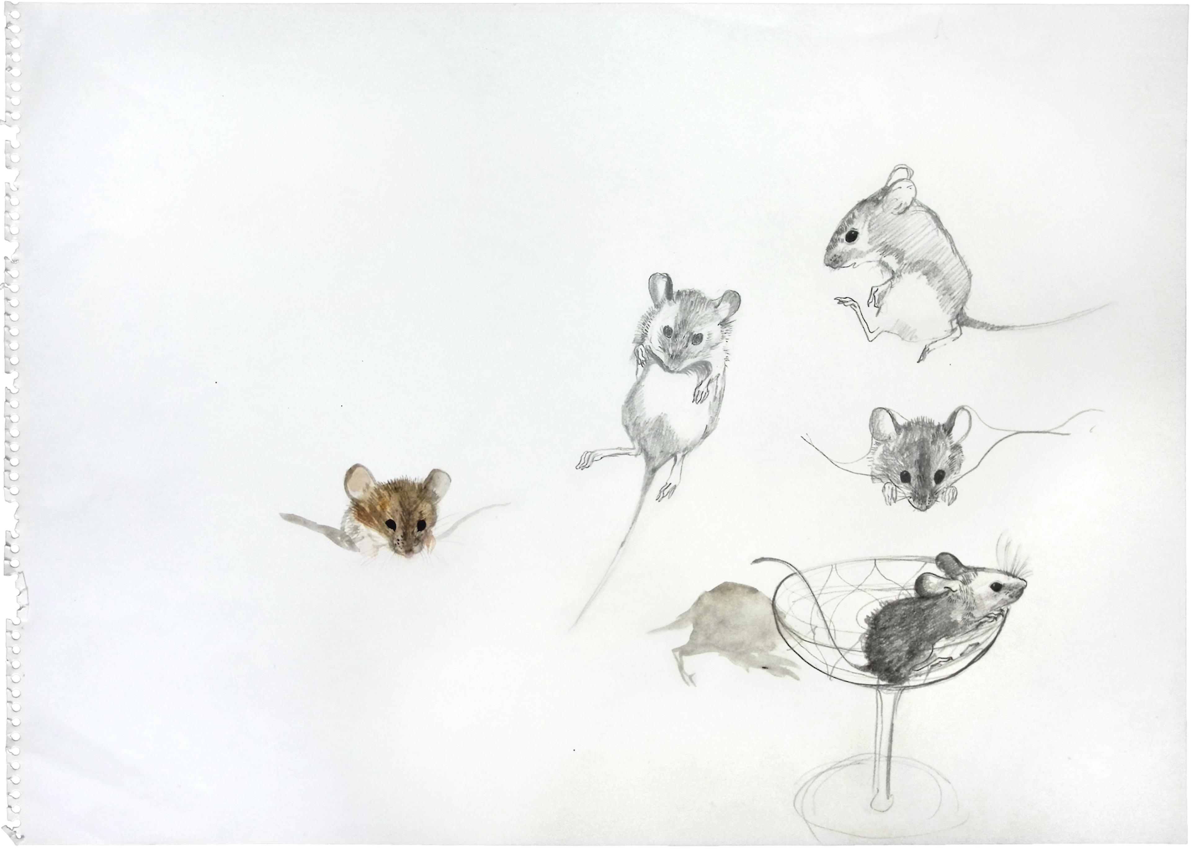 Black and white pencil sketch of mice, one in a martini glass, one coloured brown with a watercolour wash