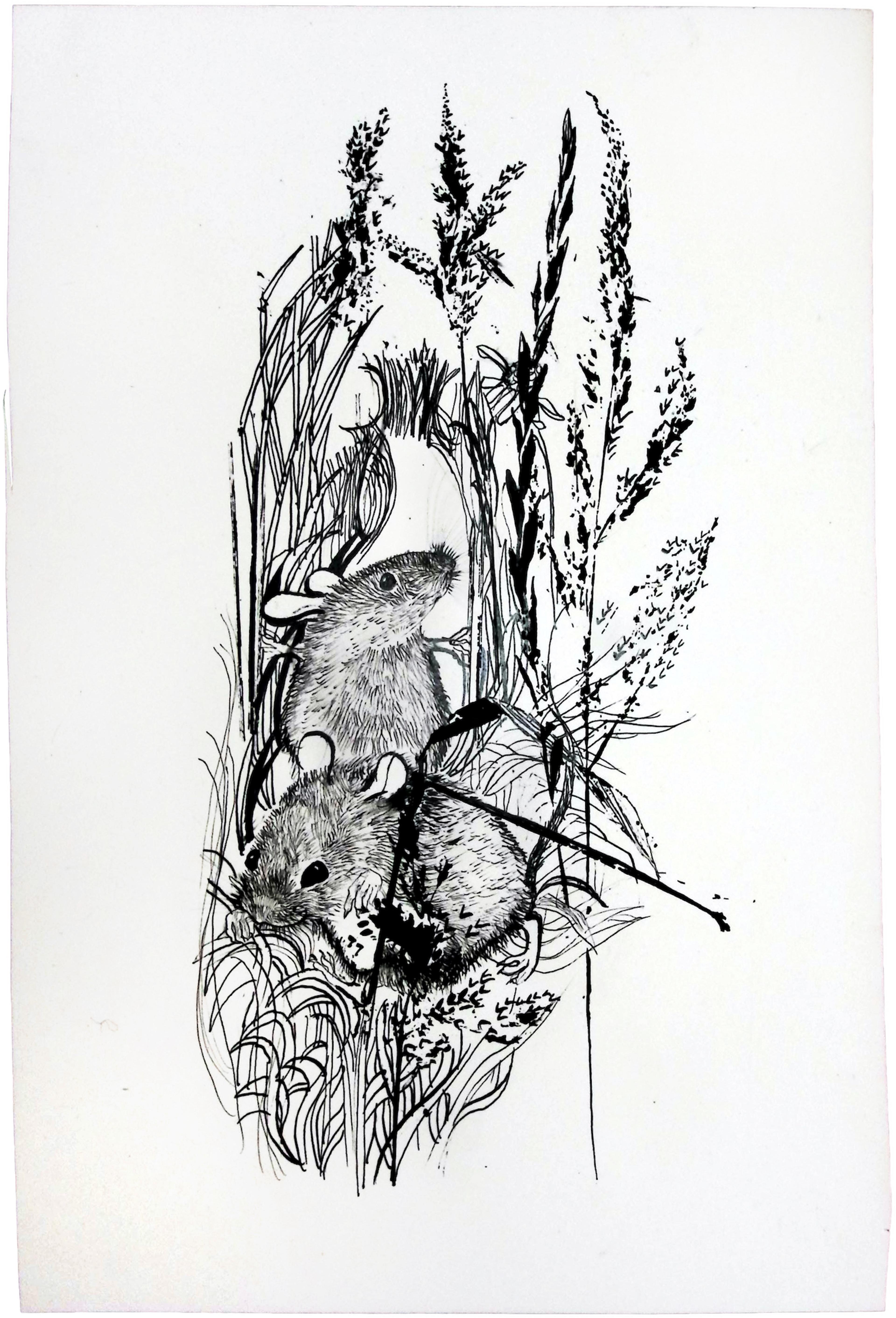 Detailed black and white drawing of two mice surrounded by grass.