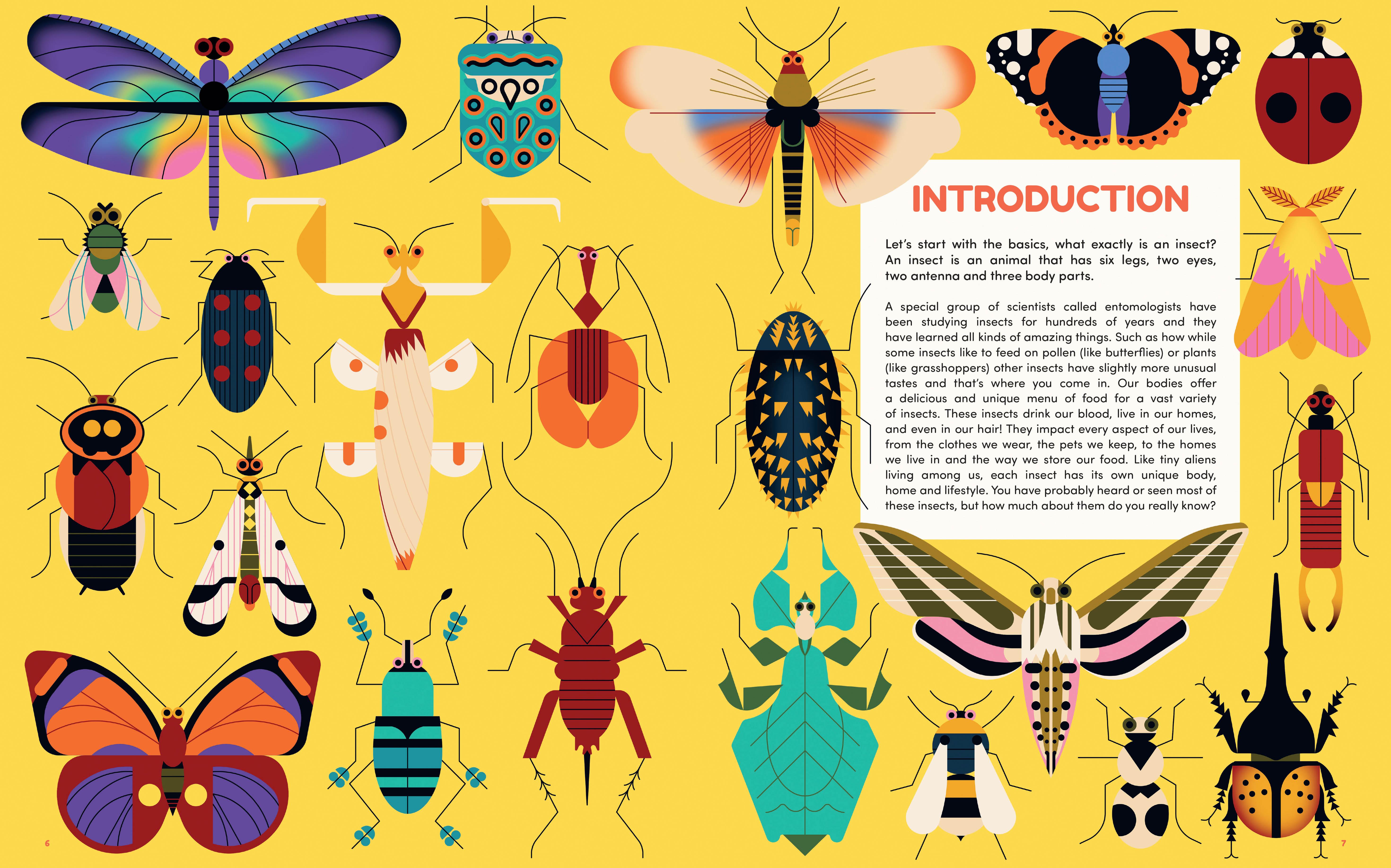 A double page spread of a picture book with many illustrations of insects with a text box introduction on the right hand side page.