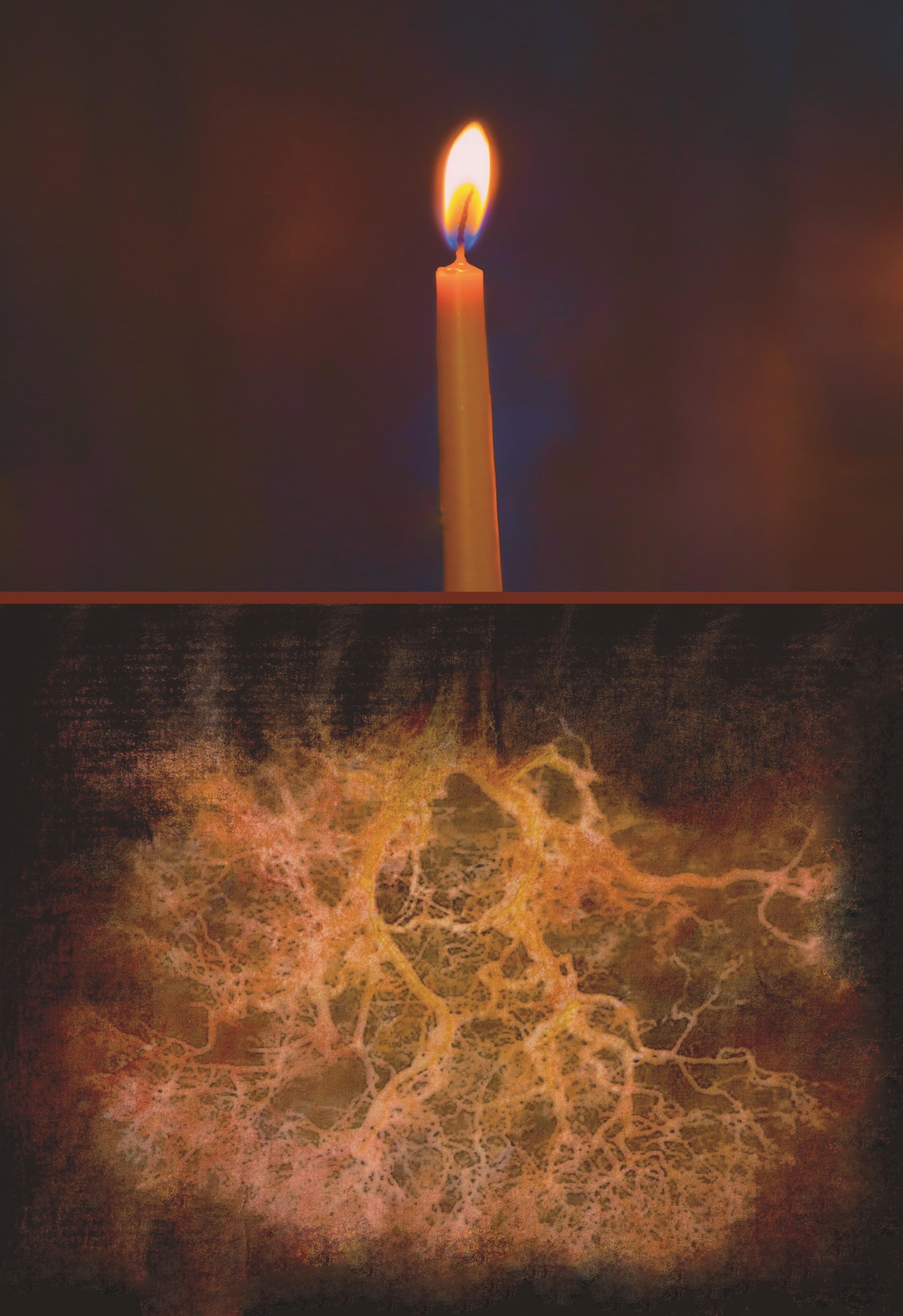 Illustration of a candle with roots beneath