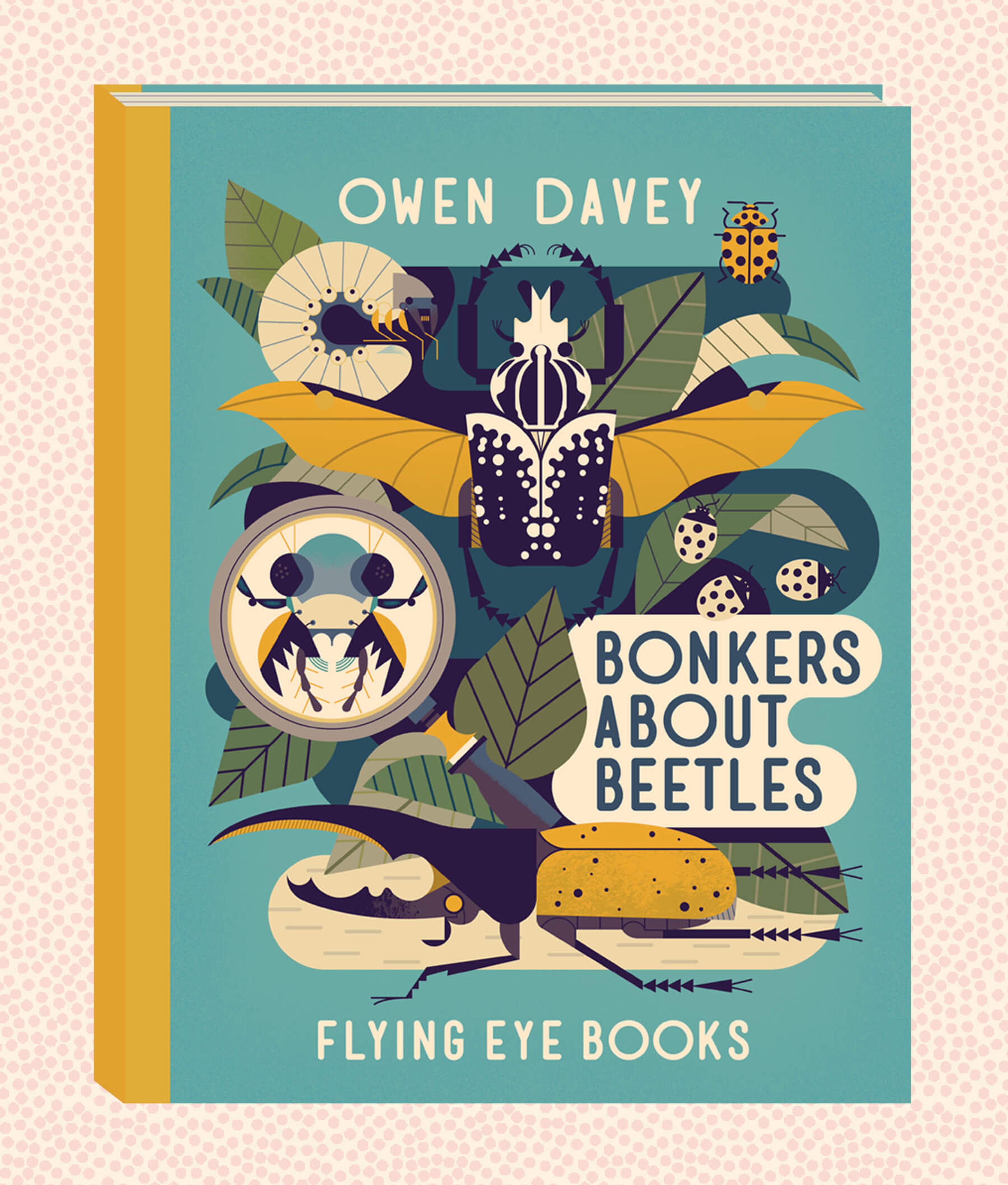 Illustration of the front cover of the book Bonkers About Beetles by Owen Davey.