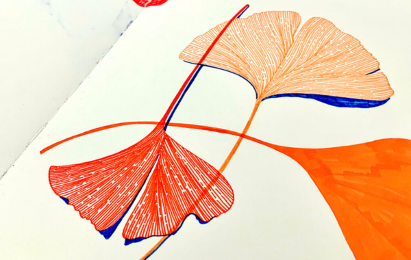 A page from an open sketchbook displays colourful, stylised drawings of ginkgo leaves in various shades of green, red, and orange, rendered with fine line work and marker accents.