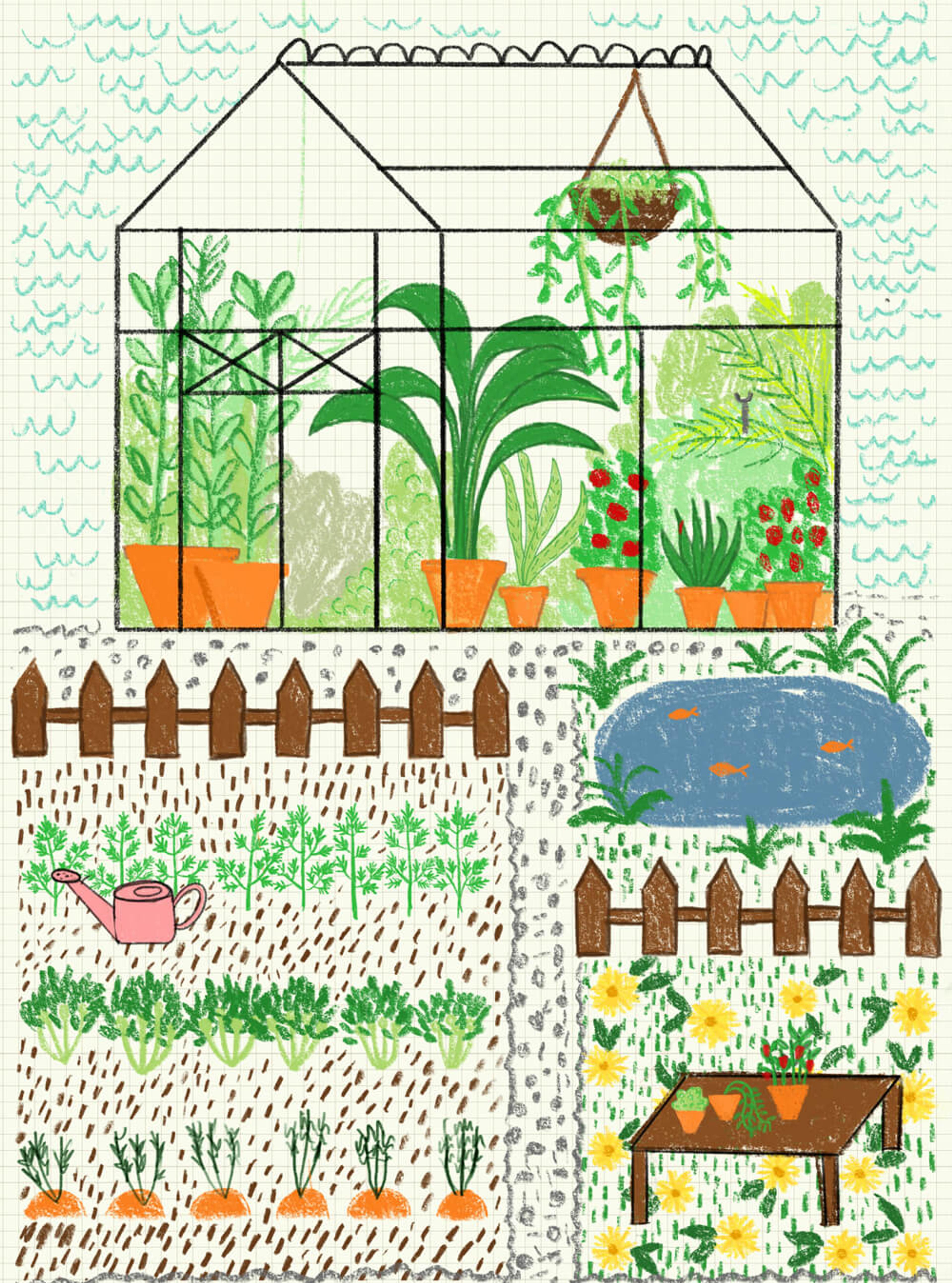 Coloured pencil illustration of a garden with a greenhouse, pond and vegetable patch