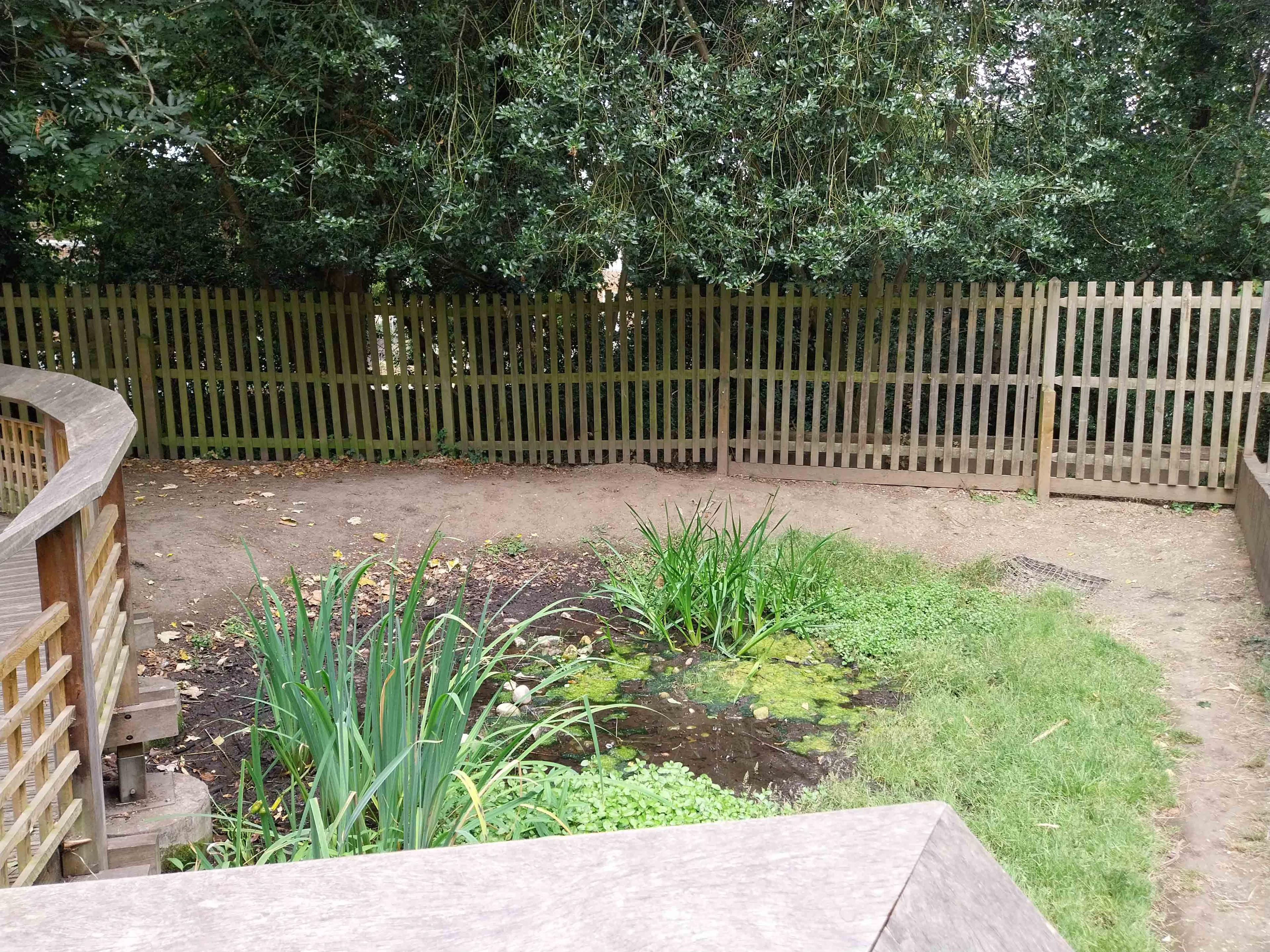 An outside play area with a fence going along the back.