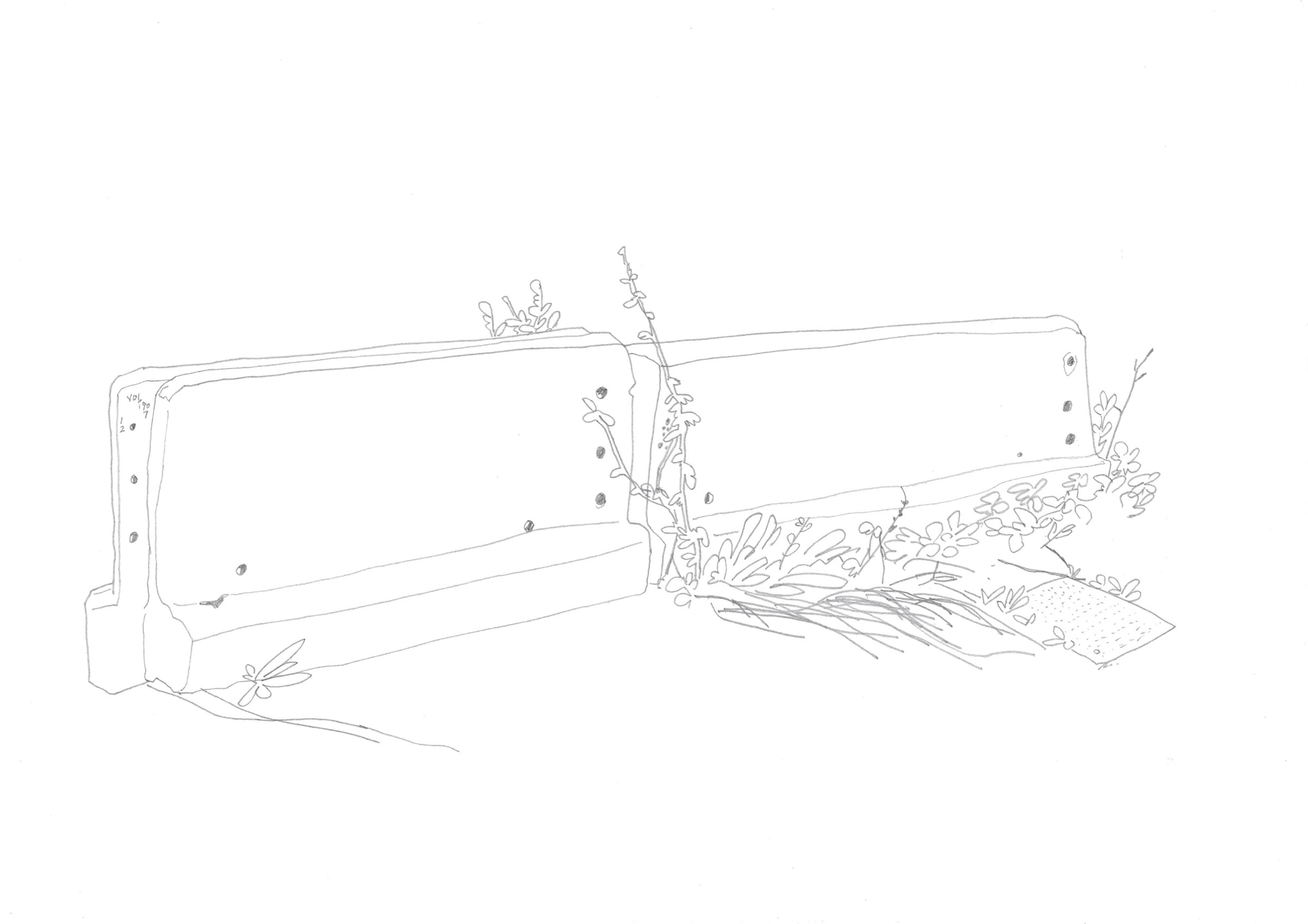 Pencil drawing of concrete blocks with plants growing through them