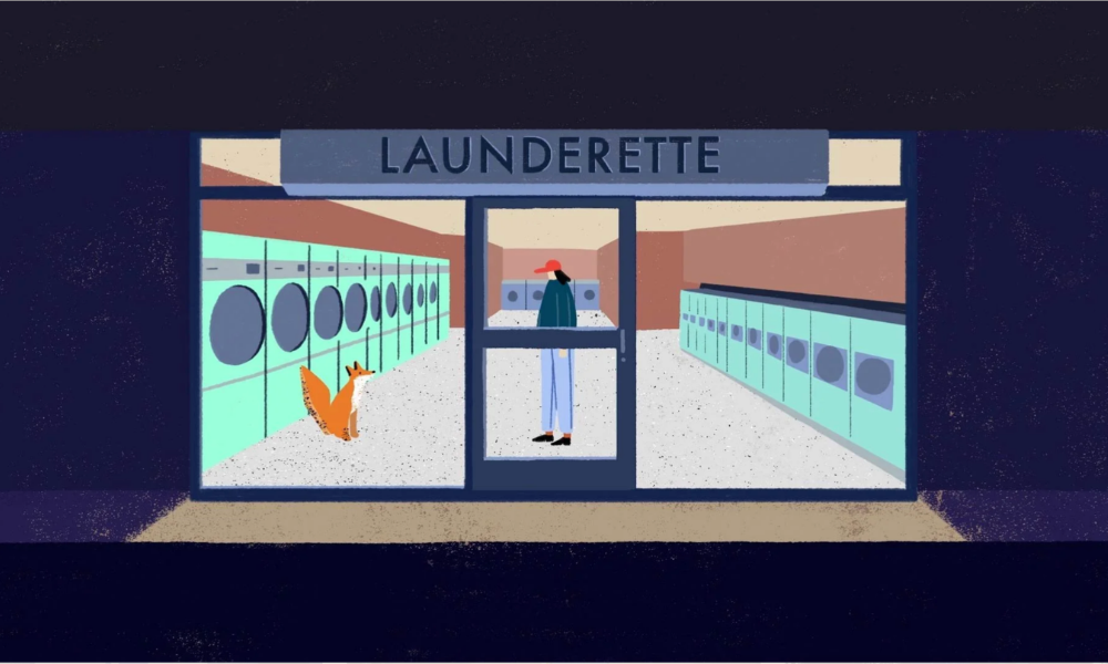 A fox sits on the floor of a launderette, looking towards rows of washing machines and a person standing in the doorway.
