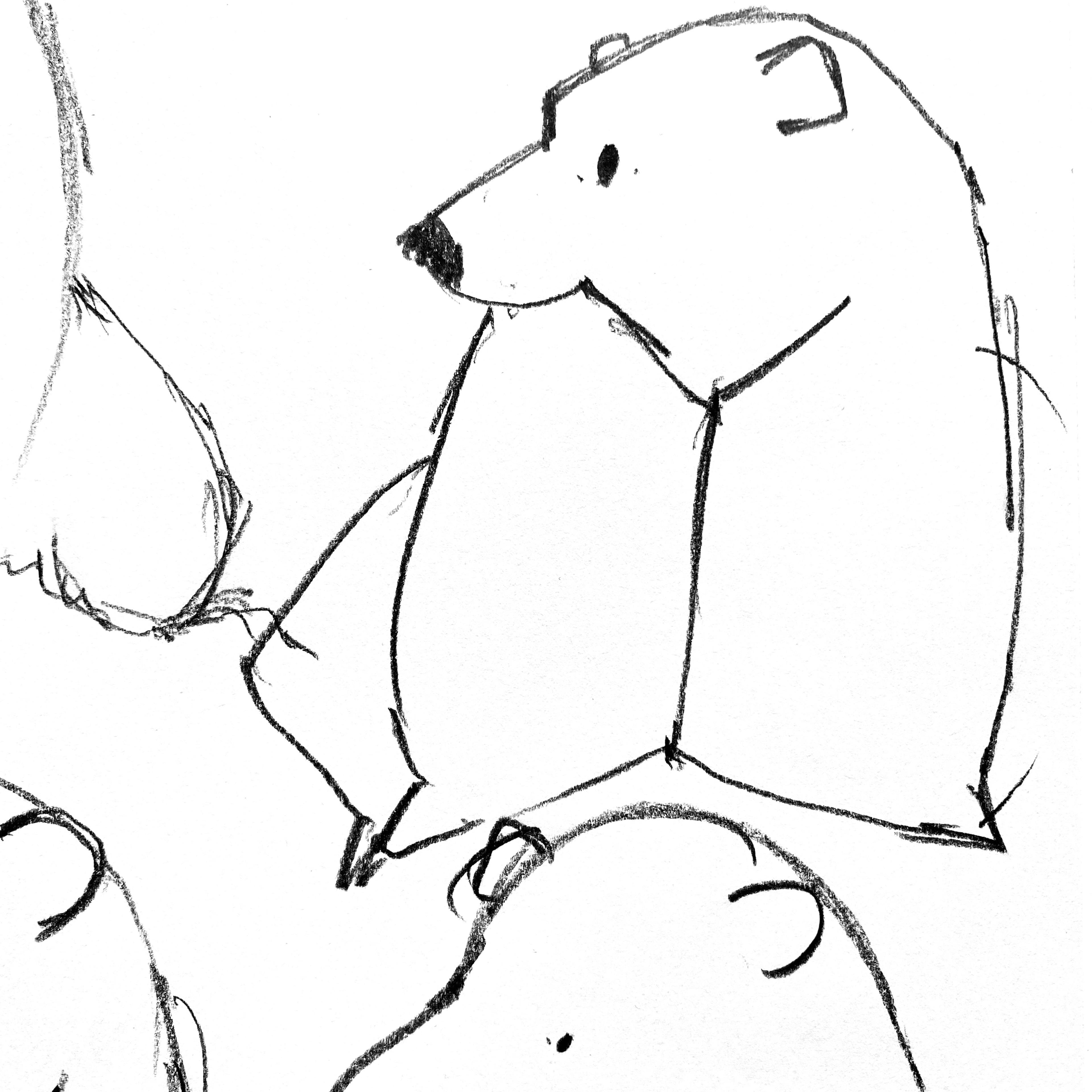 Line drawings of bears.