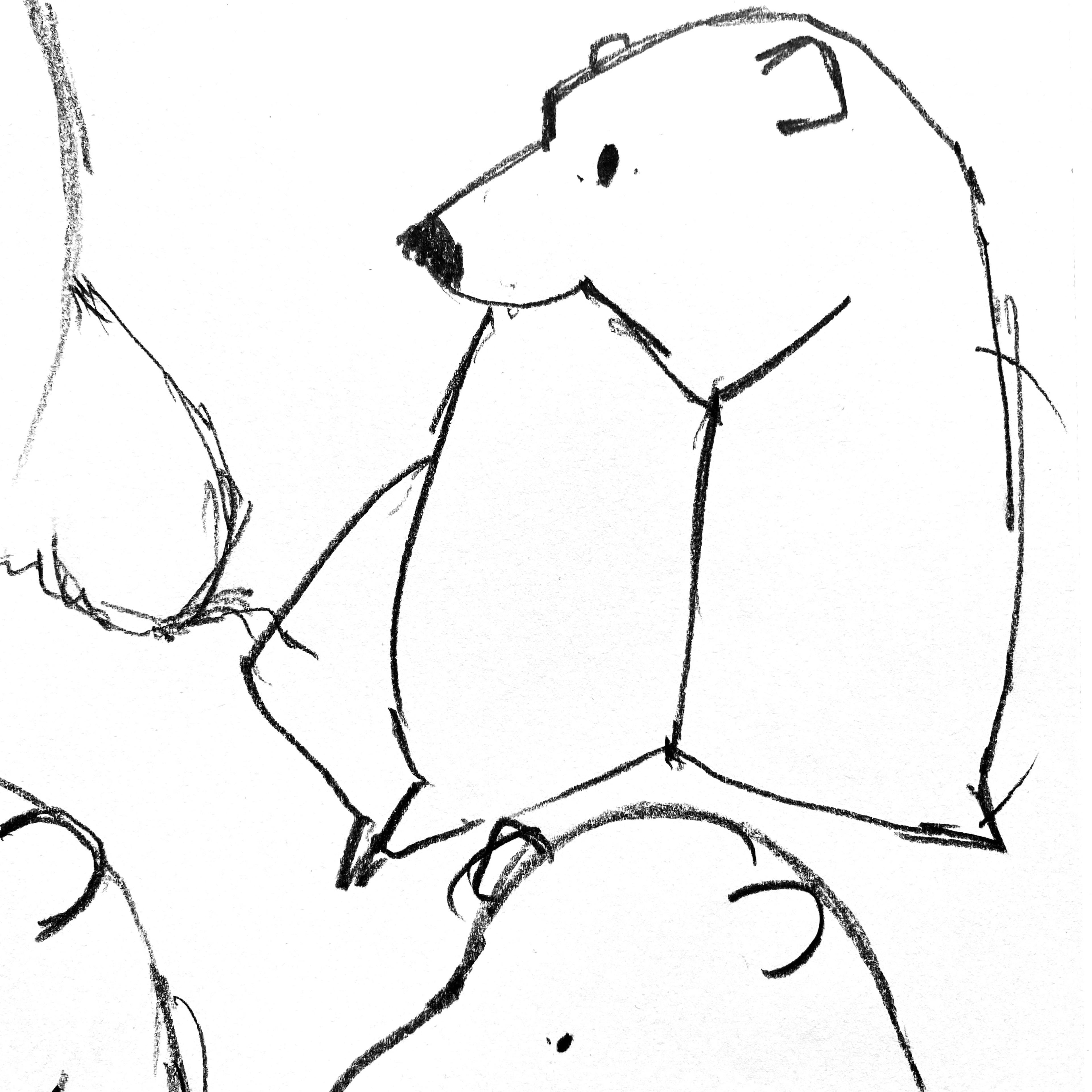 Line drawings of bears.