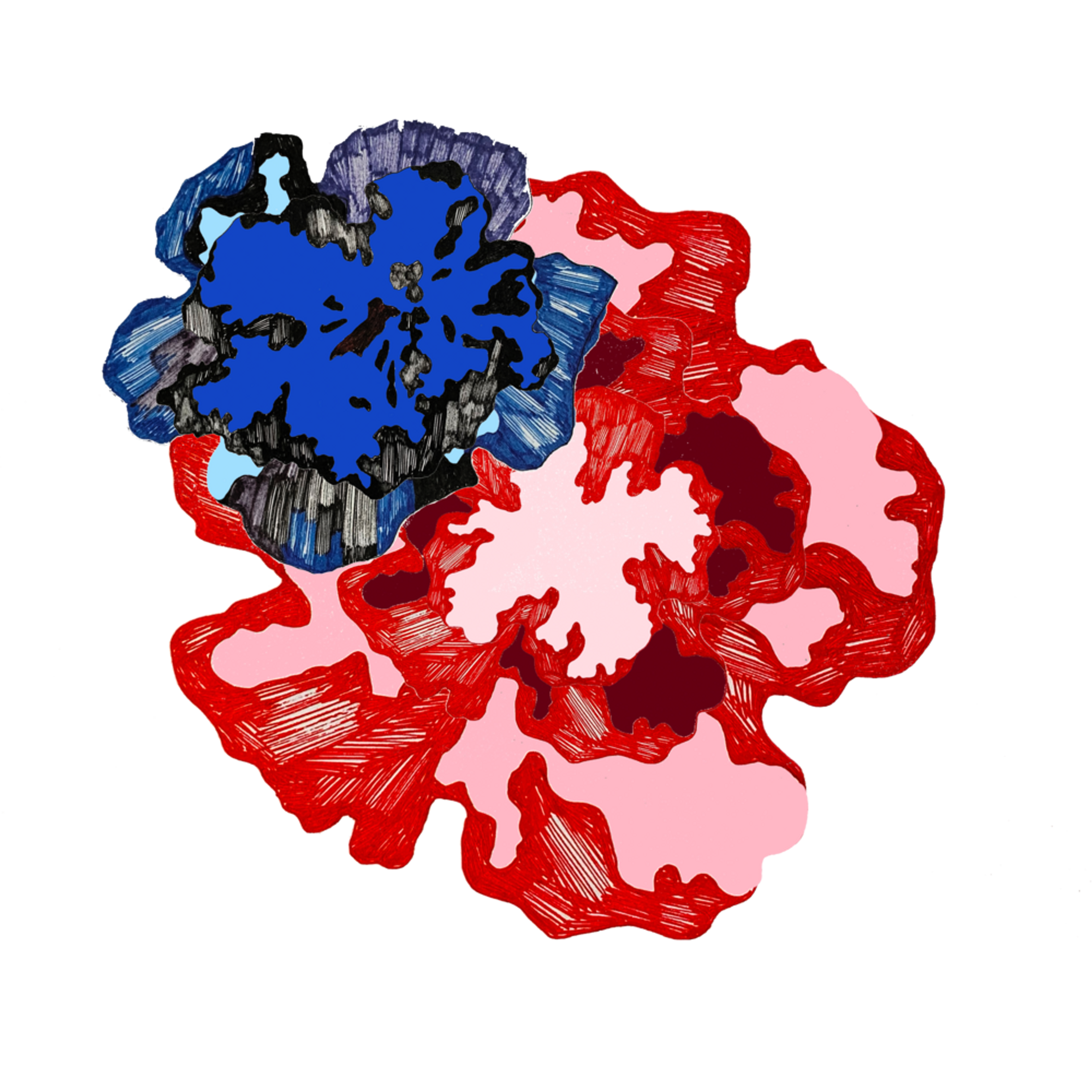 Abstract illustration of two flowery shapes, one in red and one in blue.