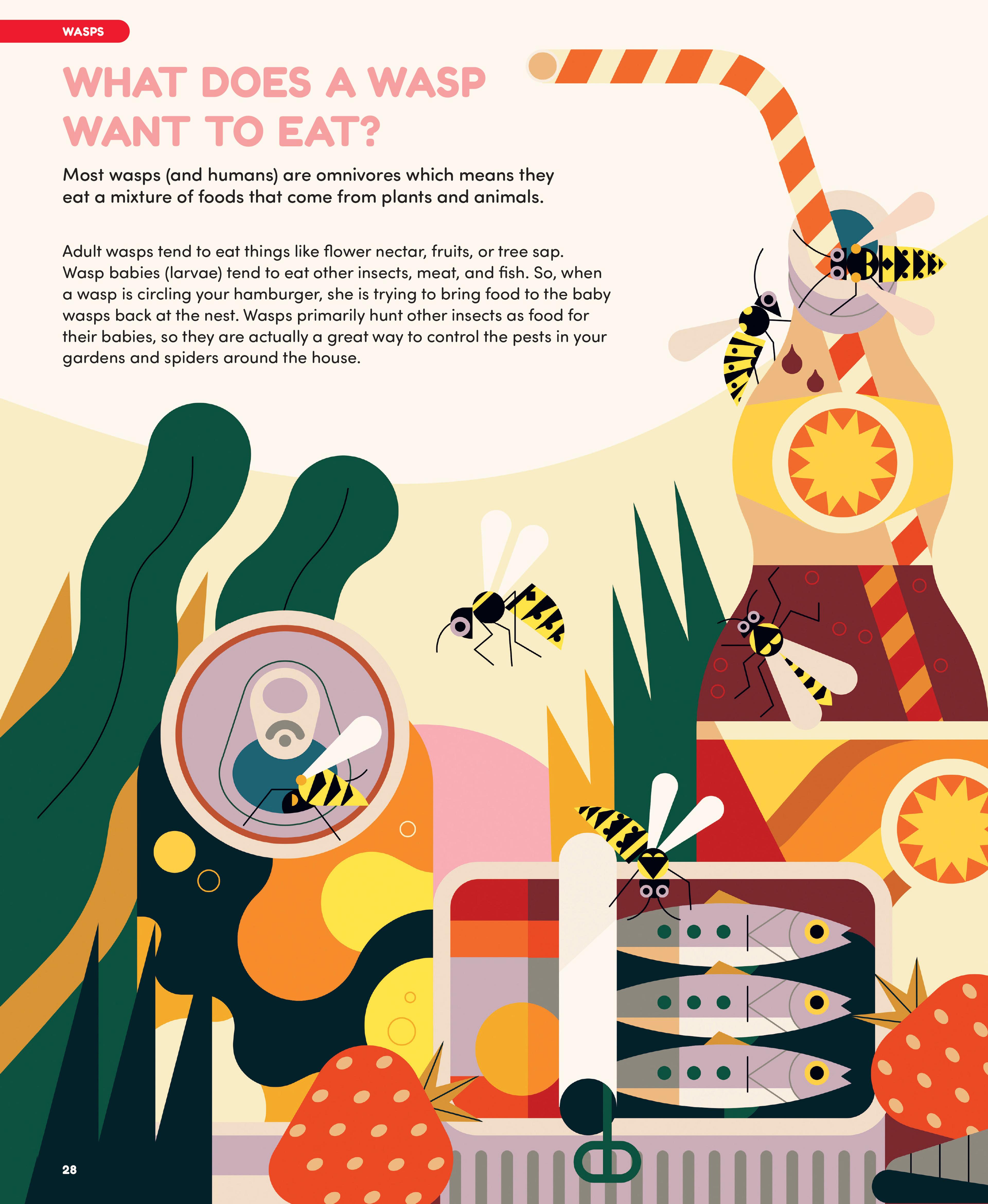 Single page from a picture book with illustrations with wasps on a picnic with text about what a wasp eats.