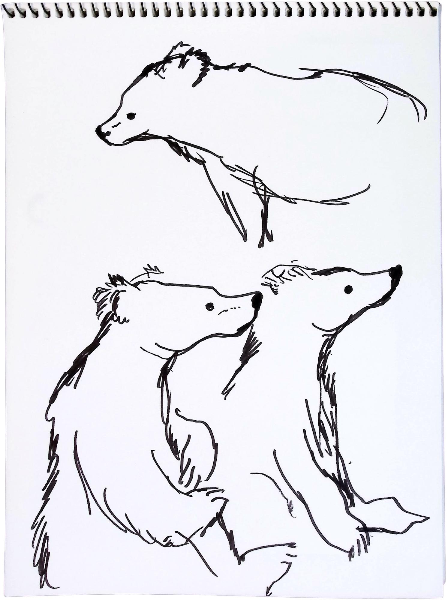 Three black and white sketches of bears' head and torsos