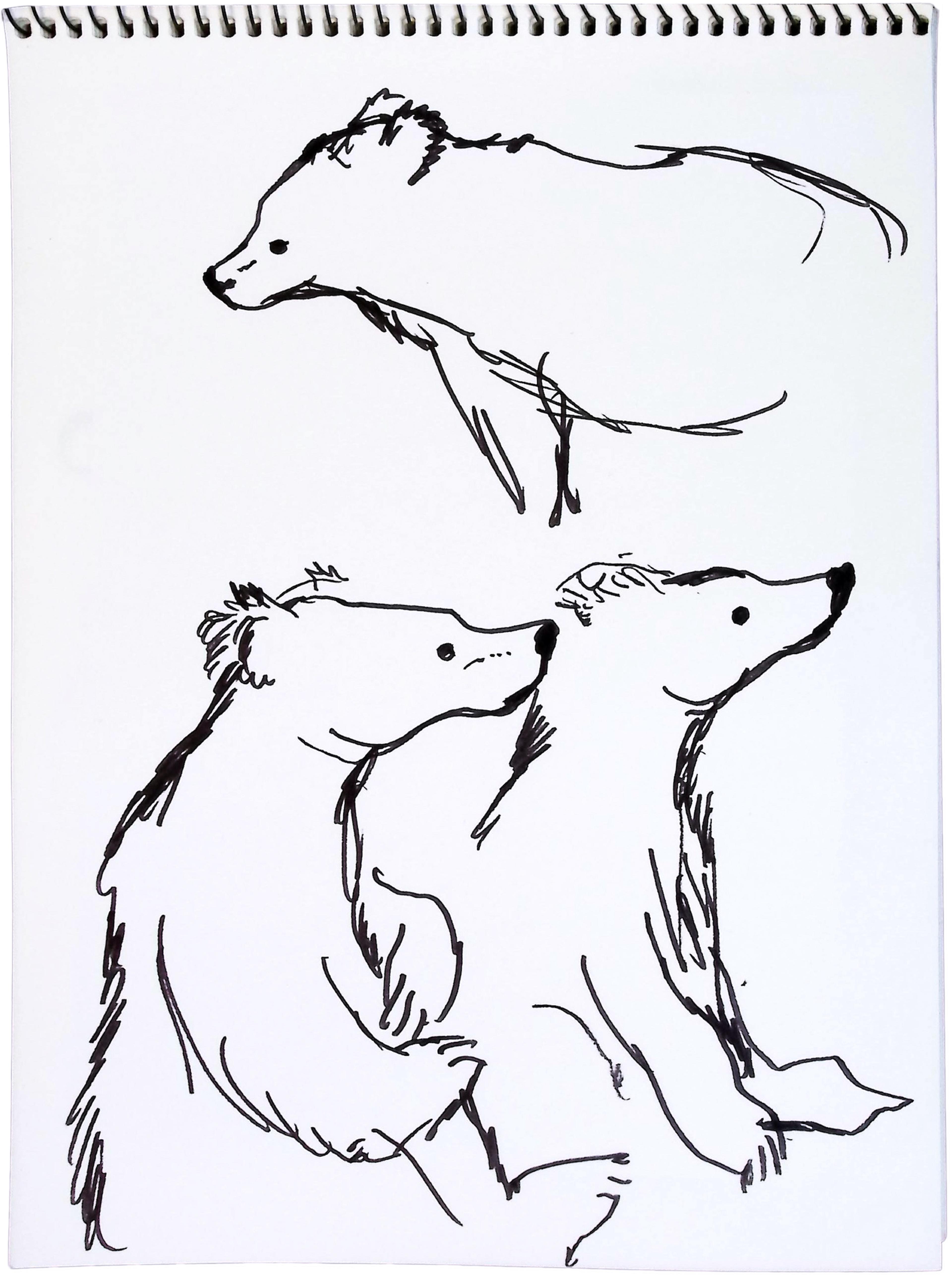 Three black and white sketches of bears' head and torsos