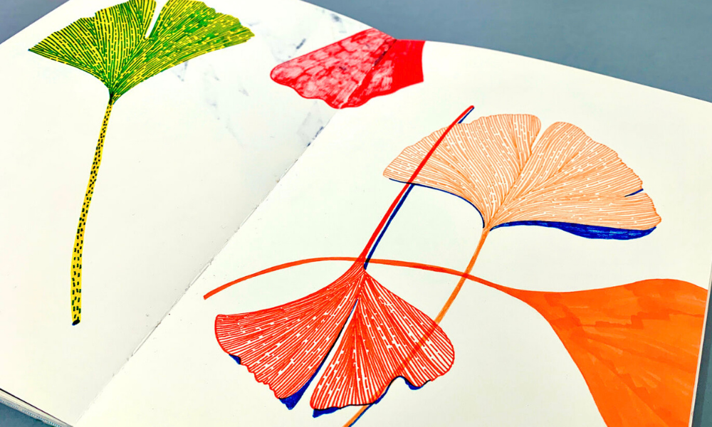 A page from an open sketchbook displays colourful, stylised drawings of ginkgo leaves in various shades of green, red, and orange, rendered with fine line work and marker accents.