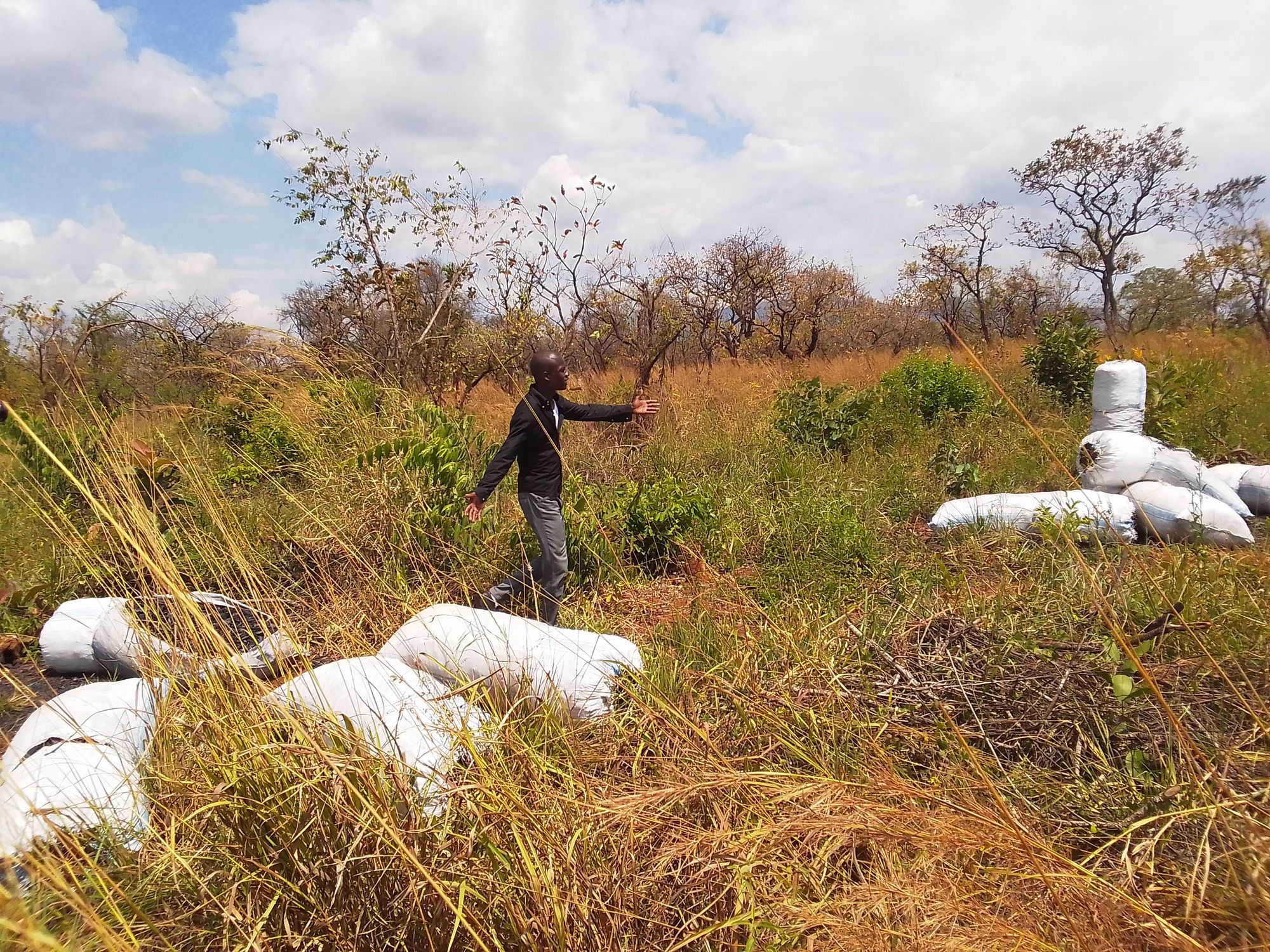 Charcoal ready to be transported from northern Uganda - iRoom