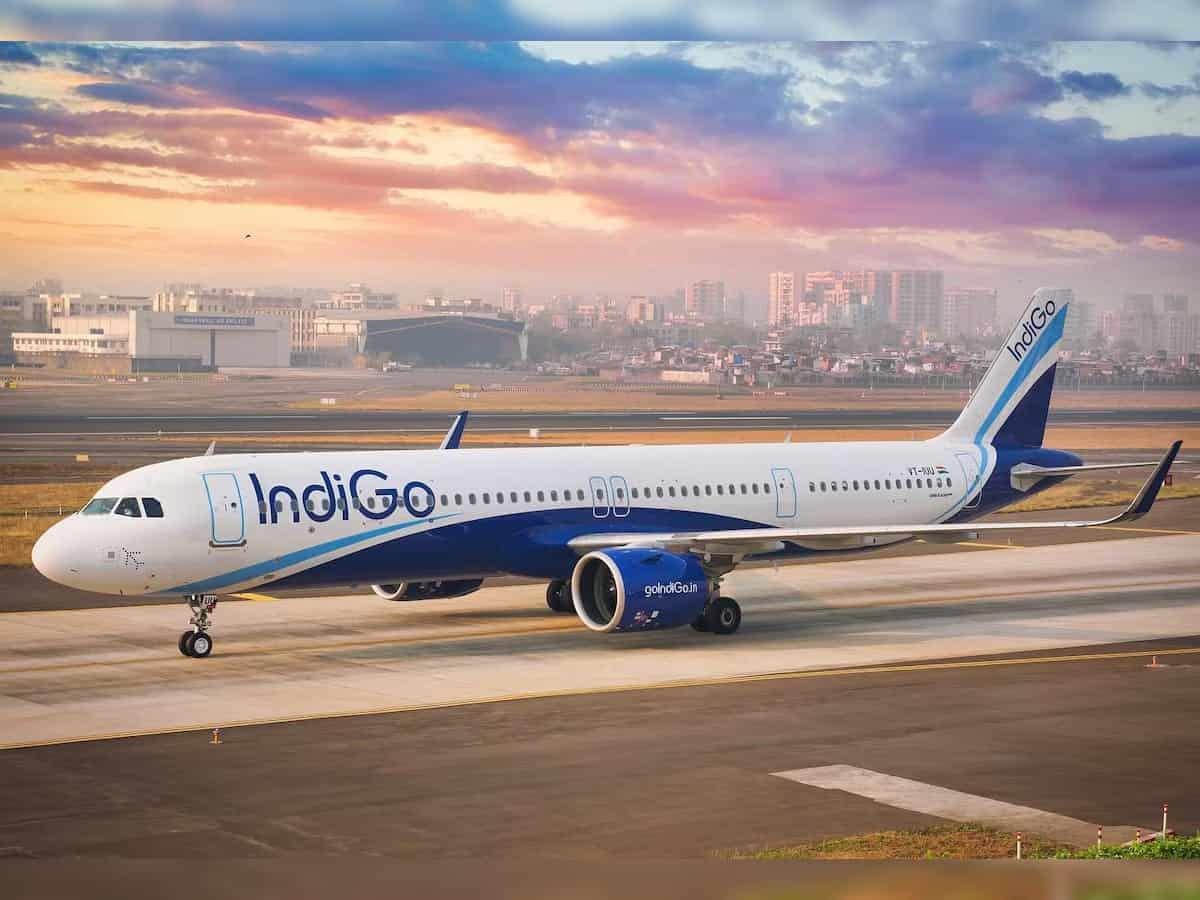 Domestic Flights