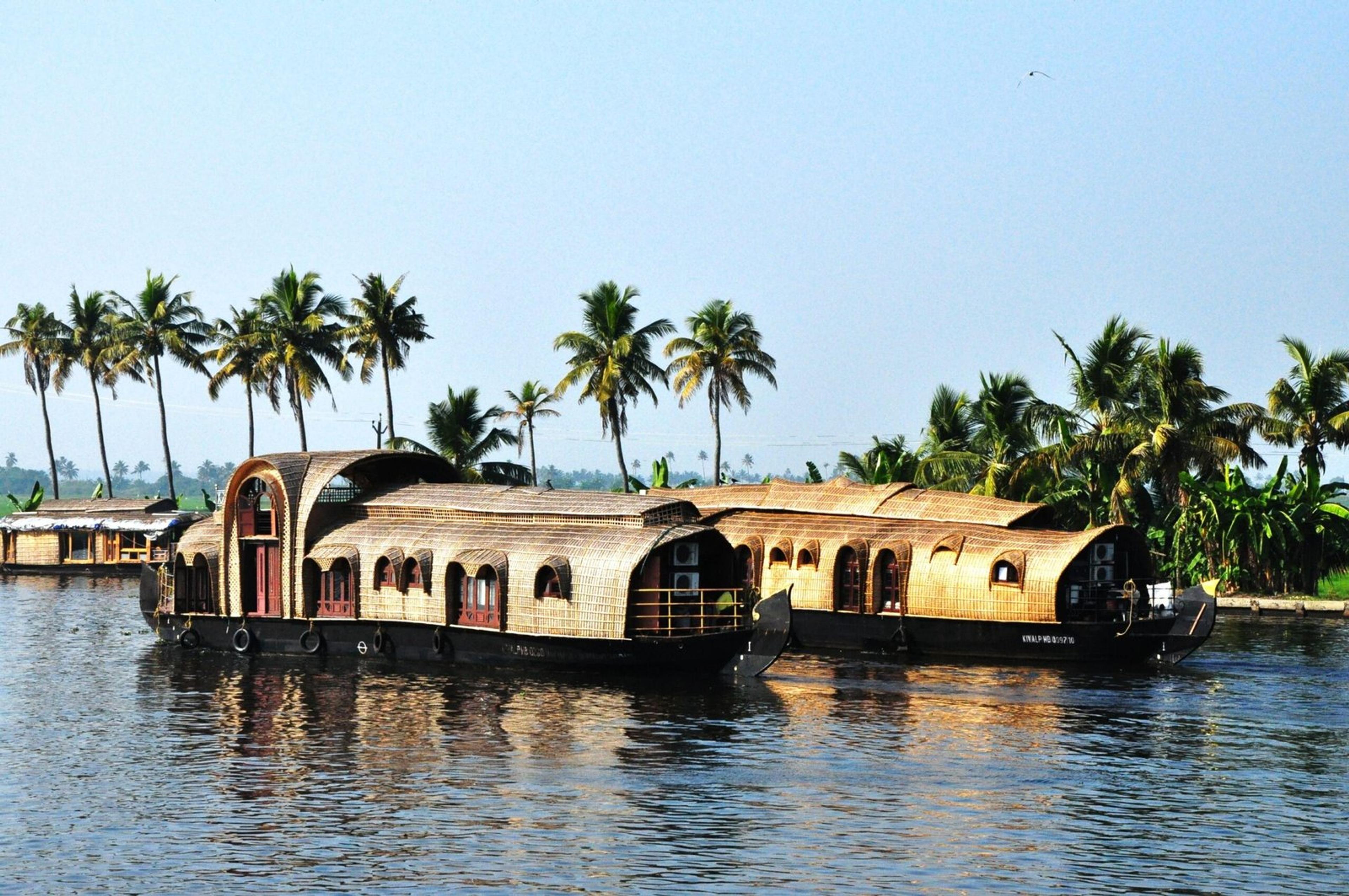 Traditional houseboats on Kerala's tranquil backwaters surrounded by palm trees.