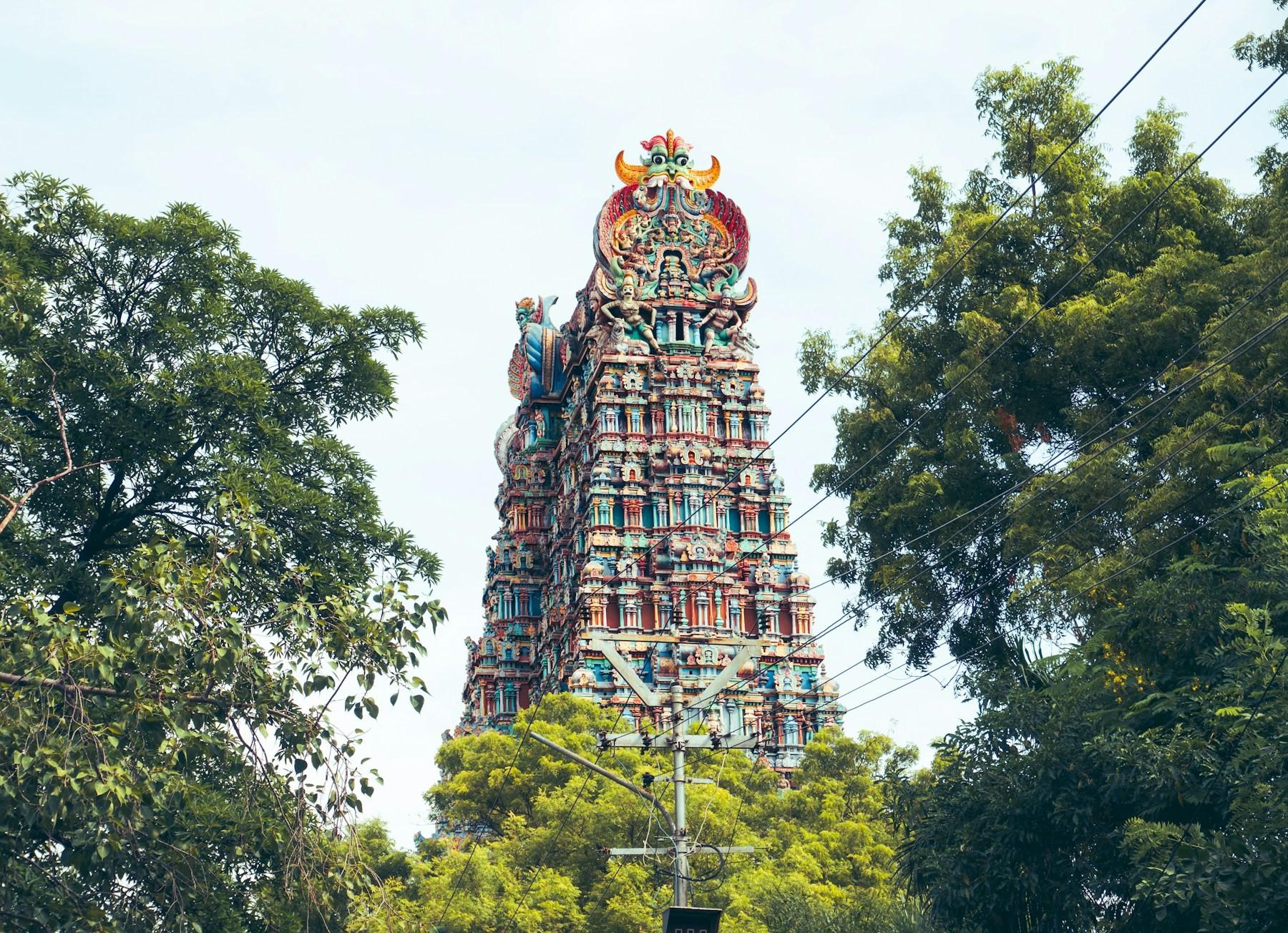 A colourful gopuram tower of the Meenakshi Amman Temple in Madurai rising above the trees