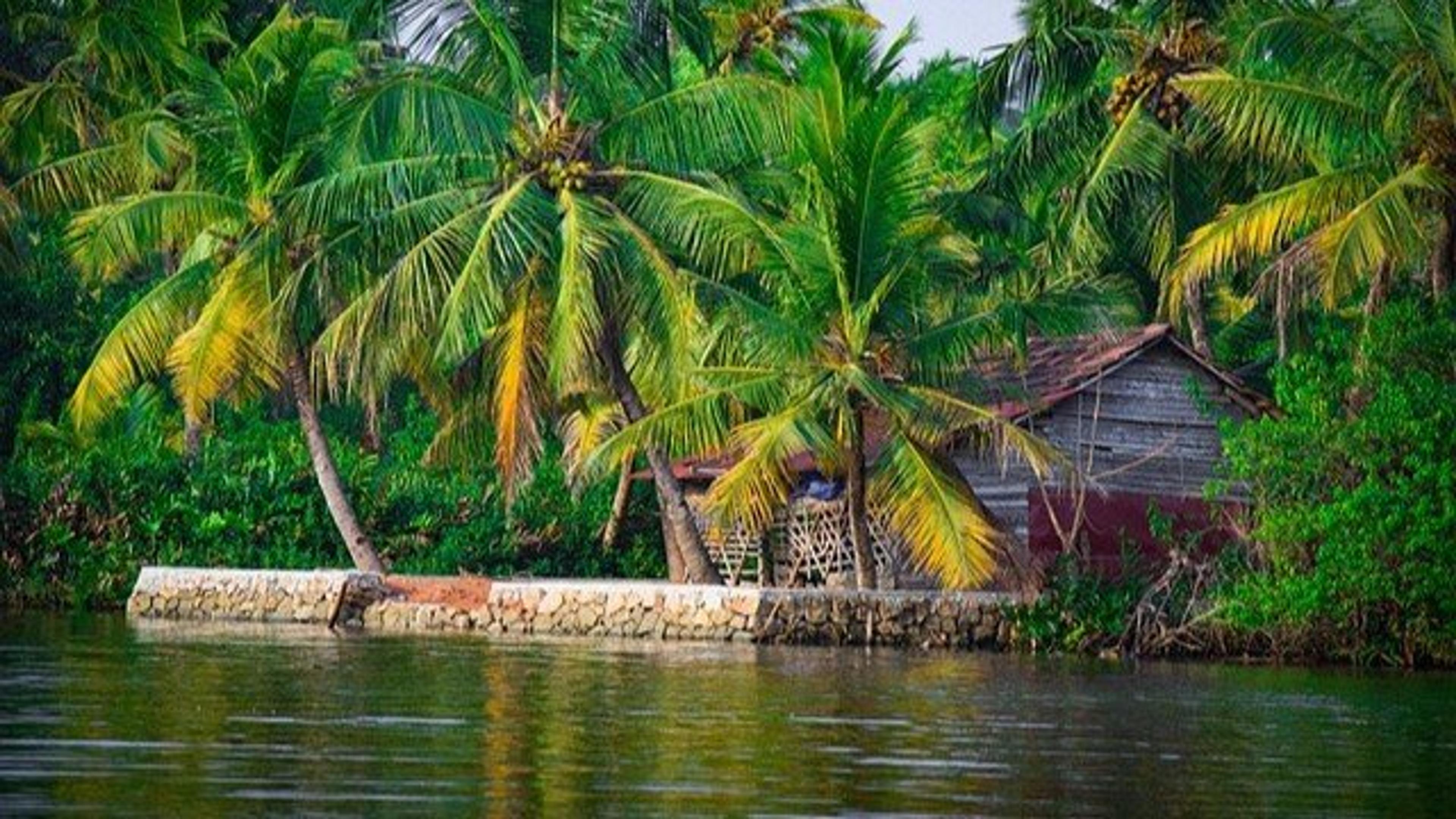 The Ultimate "Best time to Visit Kerala" Guide revised 2026
