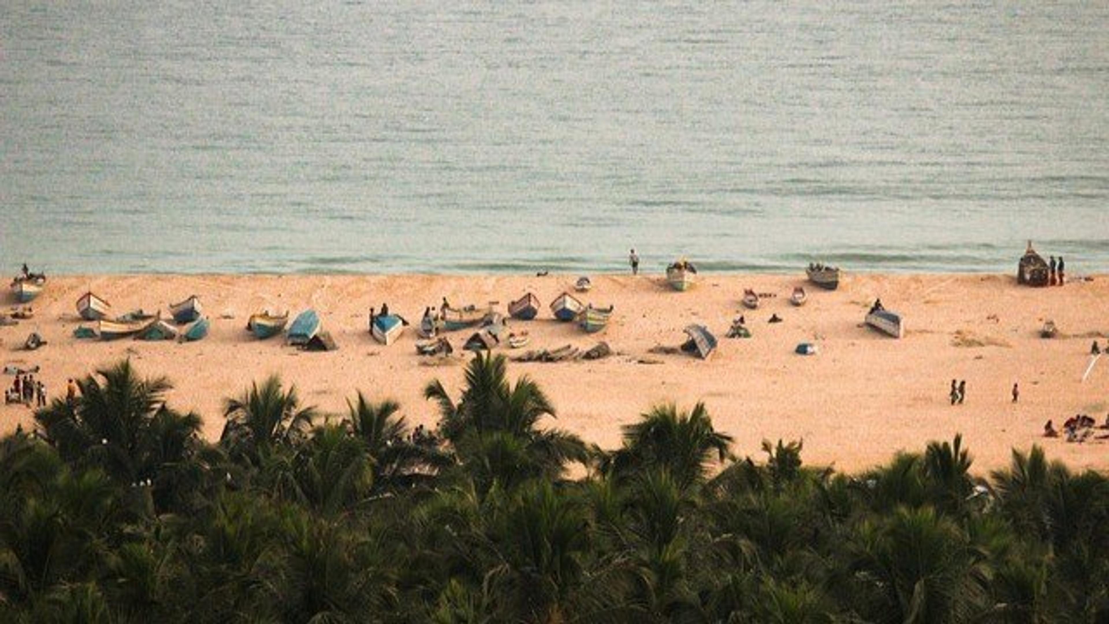 When Should You Visit Kerala? Conclusion & Expert Advice
