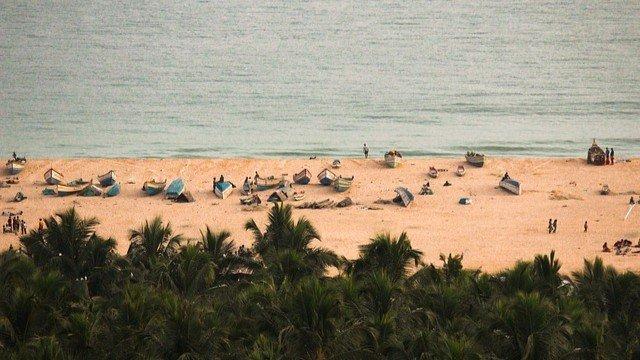 When Should You Visit Kerala? Conclusion & Expert Advice