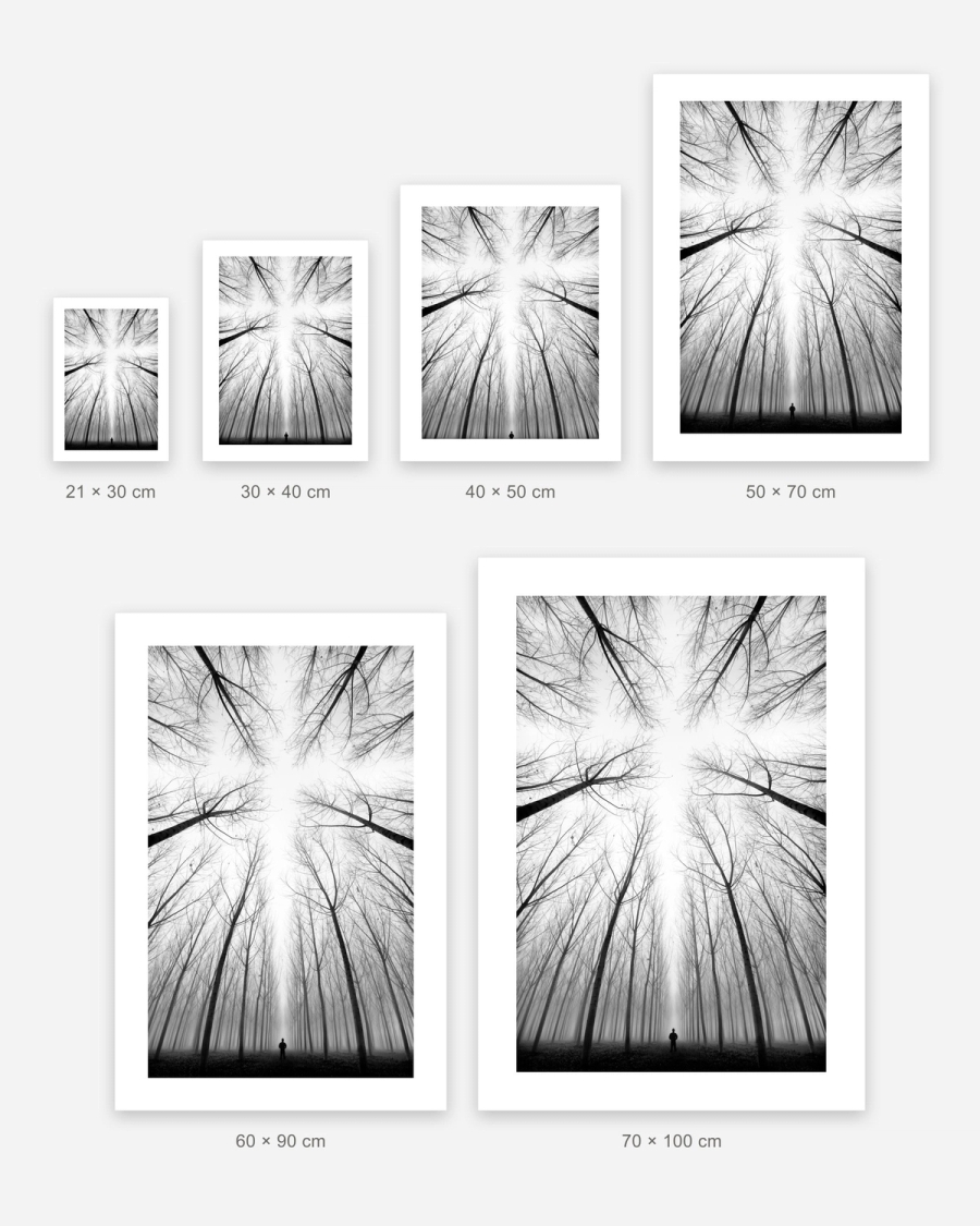 Beneath Bare Branches poster in 6 sizes, shown to scale: 21 × 30, 30 × 40, 40 × 50, 50 × 70, 60 × 90 and 70 × 100 cm