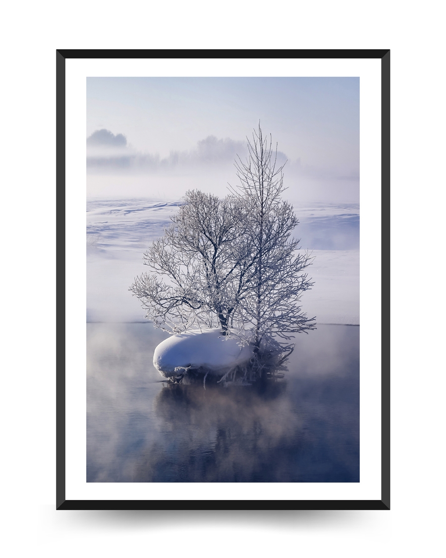 A poster of a Snow-covered tree reflected in calm winter water.