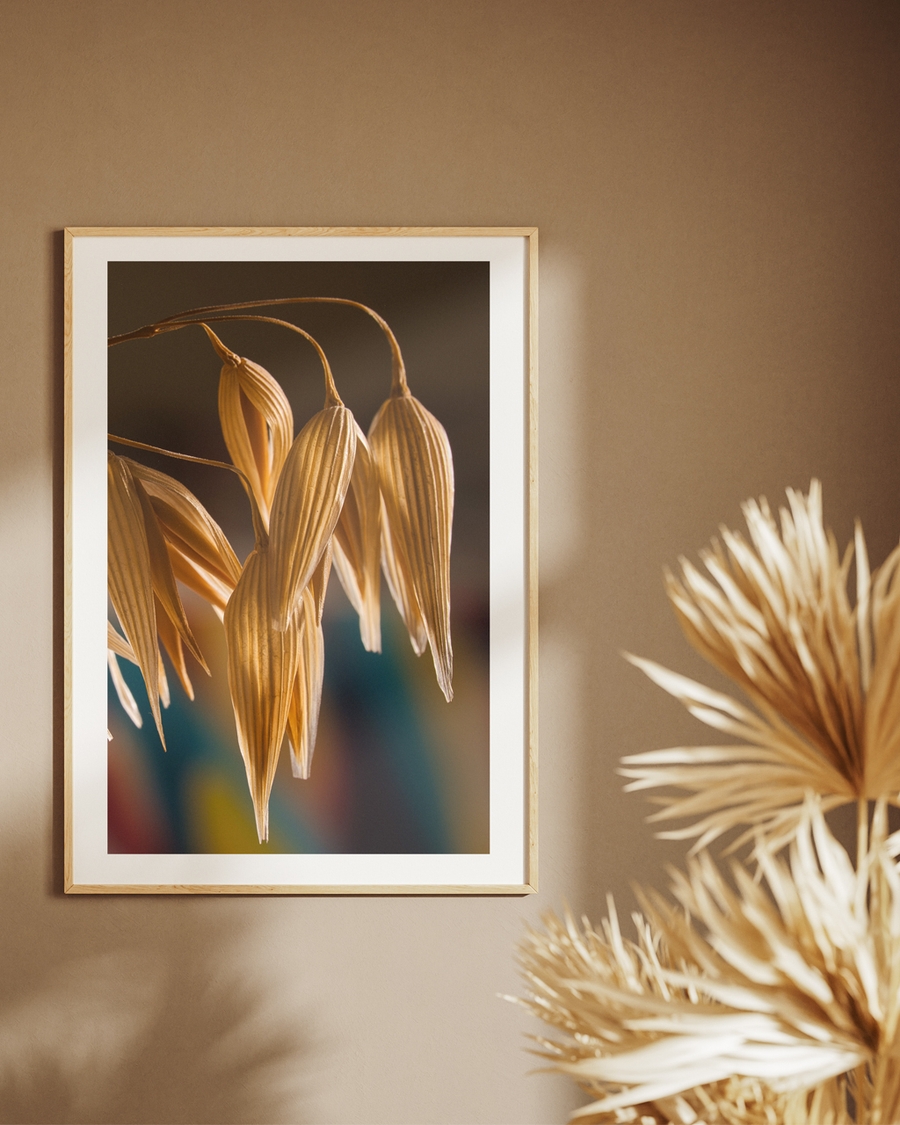 A poster of brown oats hanged on wall