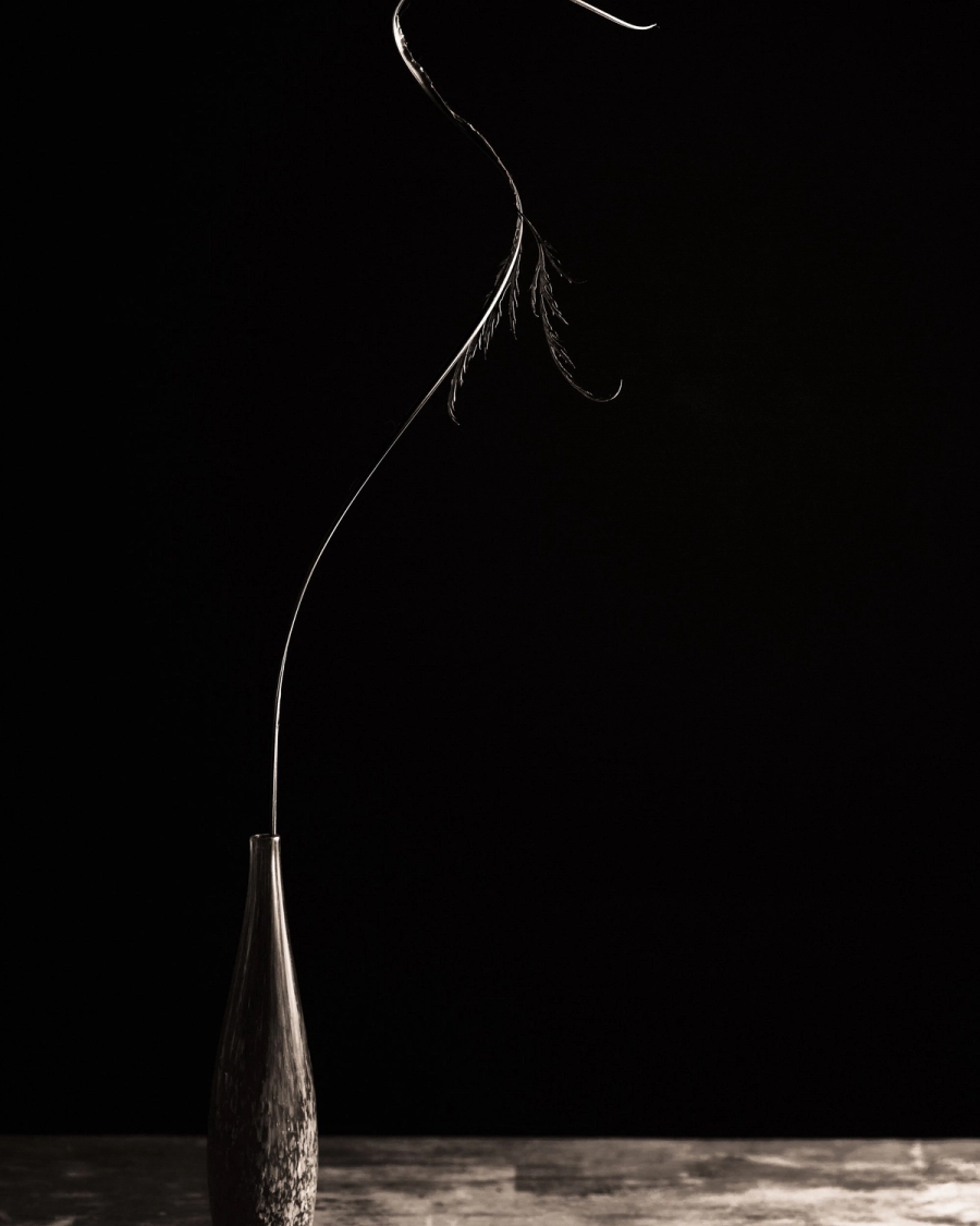 Black and white still life of a curved dried stem in a slim vase on a worn table against black