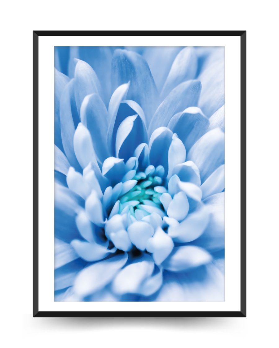 A poster of a Close‑up blue flower with soft petals