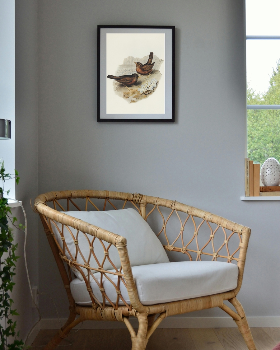 A poster of a Illustrated birds standing near rocky coast by sea