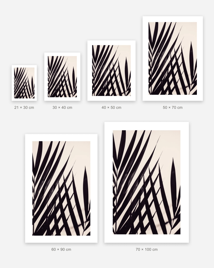 Palm Silhouette poster in 6 sizes, shown to scale: 21 × 30, 30 × 40, 40 × 50, 50 × 70, 60 × 90 and 70 × 100 cm