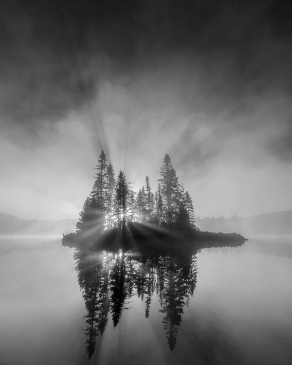 Black and white photo of sun rays through pines on a misty lake island, reflected in still water