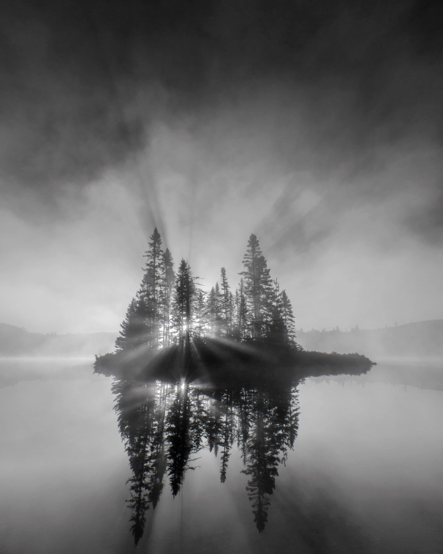 Black and white photo of sun rays through pines on a misty lake island, reflected in still water