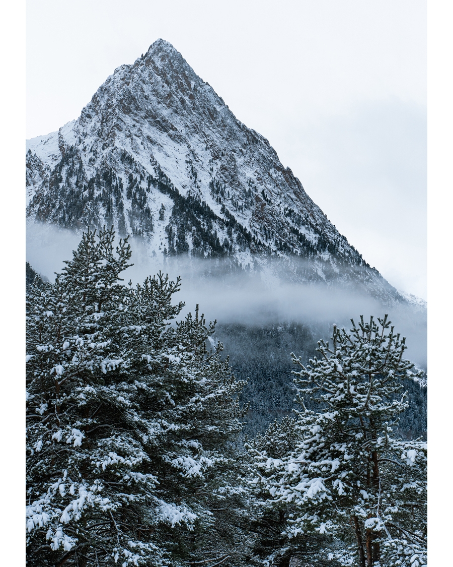 Snow-covered mountain peak above misty pine forest