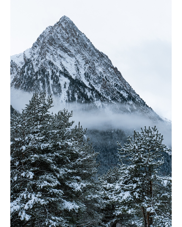 Snow-covered mountain peak above misty pine forest