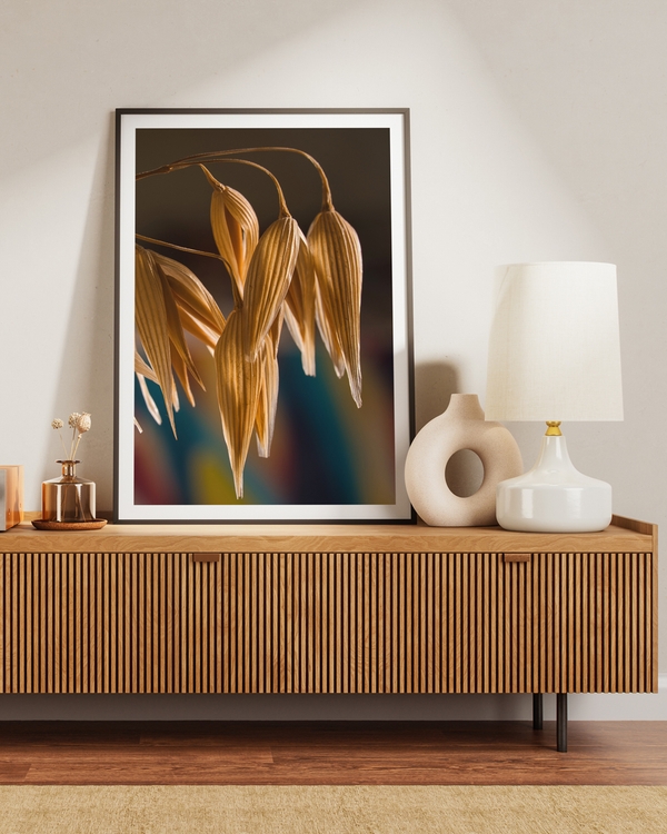 A poster of brown oats placed on a brown table