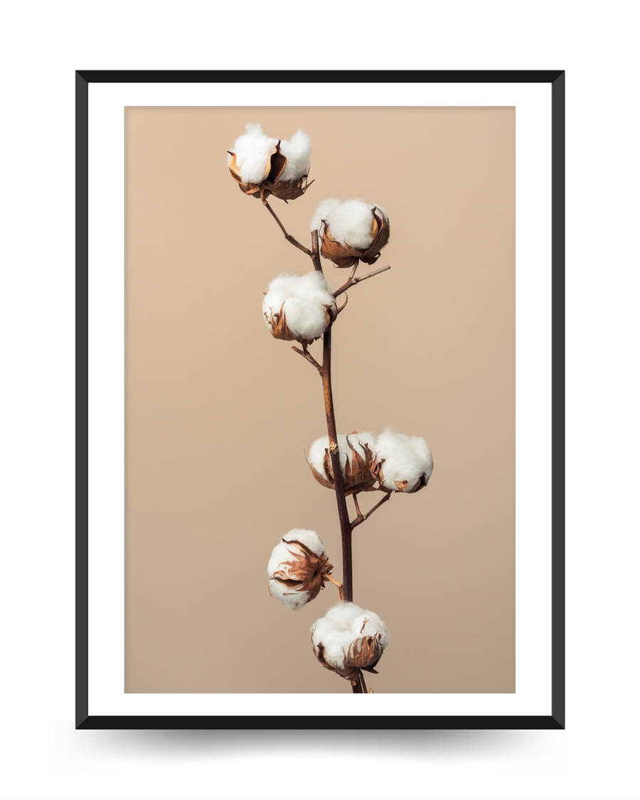 A poste of a Cotton branches arranged vertically on warm neutral background