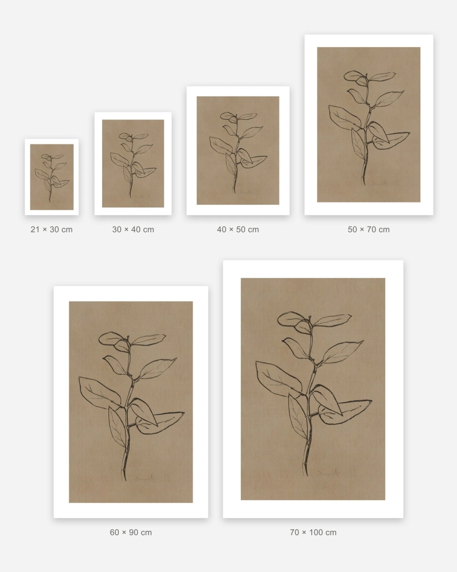 Charcoal Sprig poster in 6 sizes, shown to scale: 21 × 30, 30 × 40, 40 × 50, 50 × 70, 60 × 90 and 70 × 100 cm