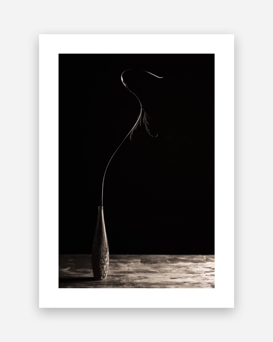 Stem in Shadow poster with a white border, unframed on a light gray background