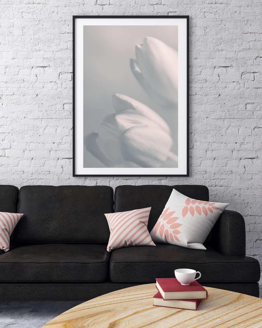 A poster of a Soft blurred white flower petals in gentle light