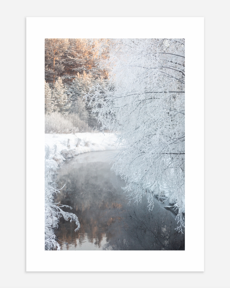 A poster of a Frost covered trees beside quiet winter stream