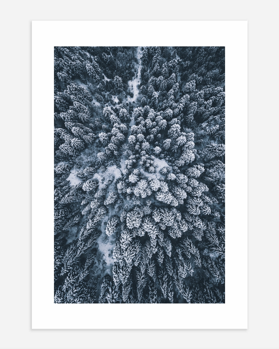 A poster of a Snow covered forest seen from above in winter