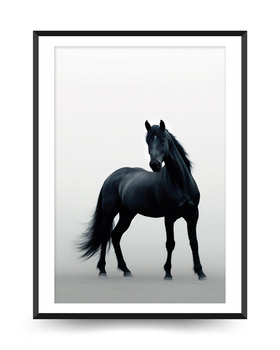 A poster fo a Black horse standing in soft misty background