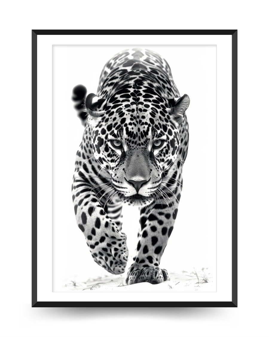 A poster of a Black and white leopard walking forward with focus
